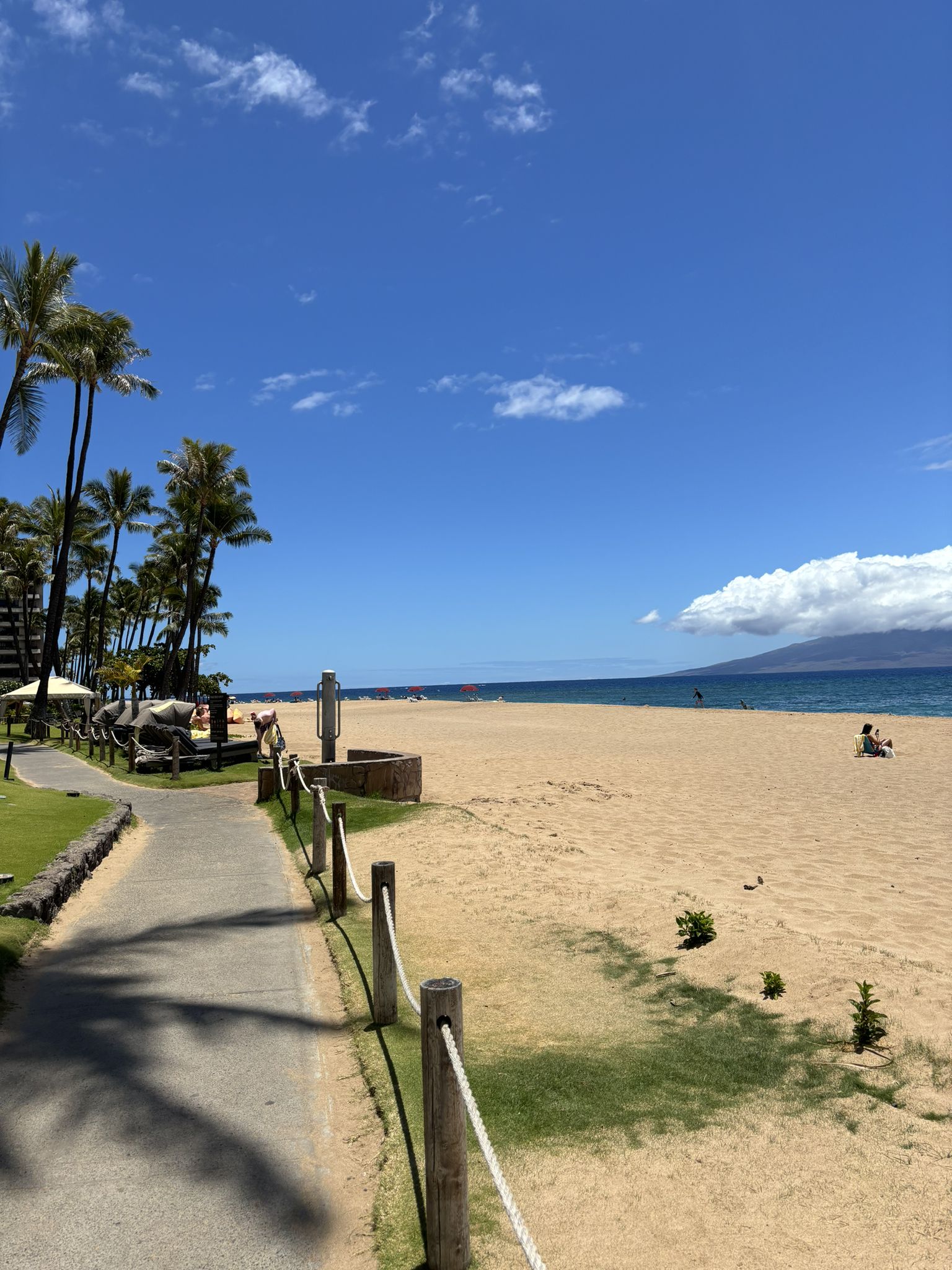 Sunny beach with palm trees, a pathway, and distant ocean. - Kaanapali Beach Trail