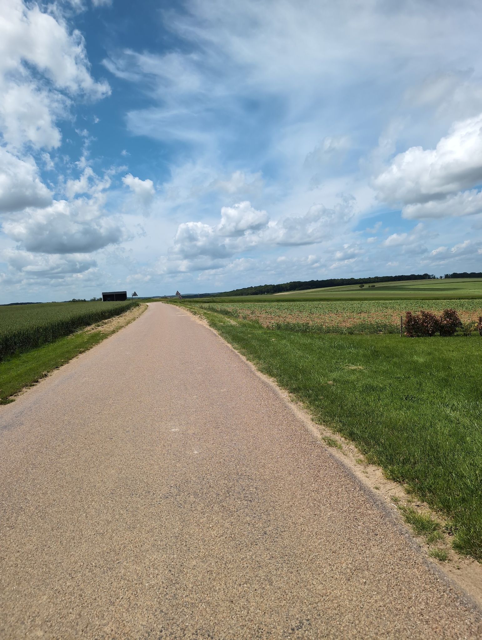 mal wieder plattes Land  mit Hügeln... vielen Hügeln...