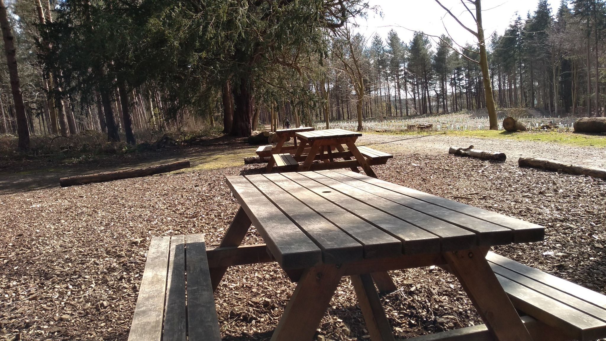 Picnic tables area