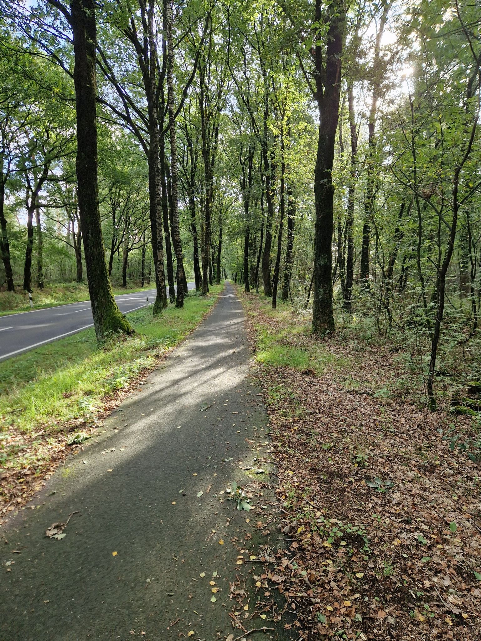 Fahrradweg über den weißen Berg, immer wieder schön