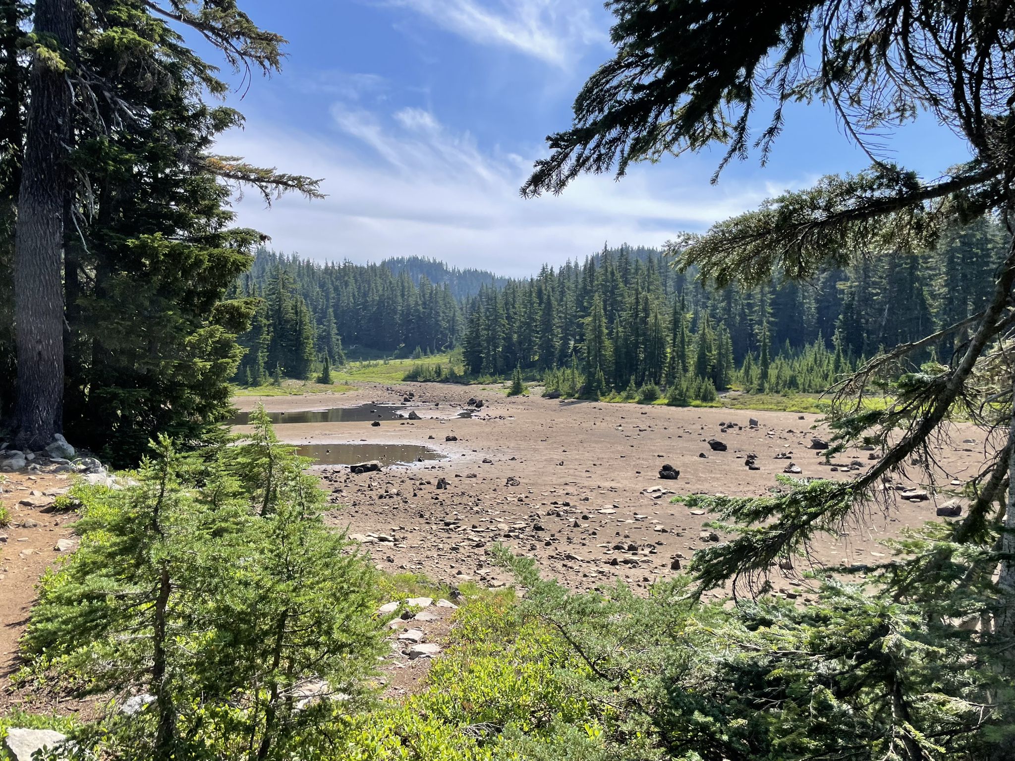 Dry, rocky riverbed surrounded by dense green forest under a sunny sky. - Pamelia Lake and Hunts Cove Loop