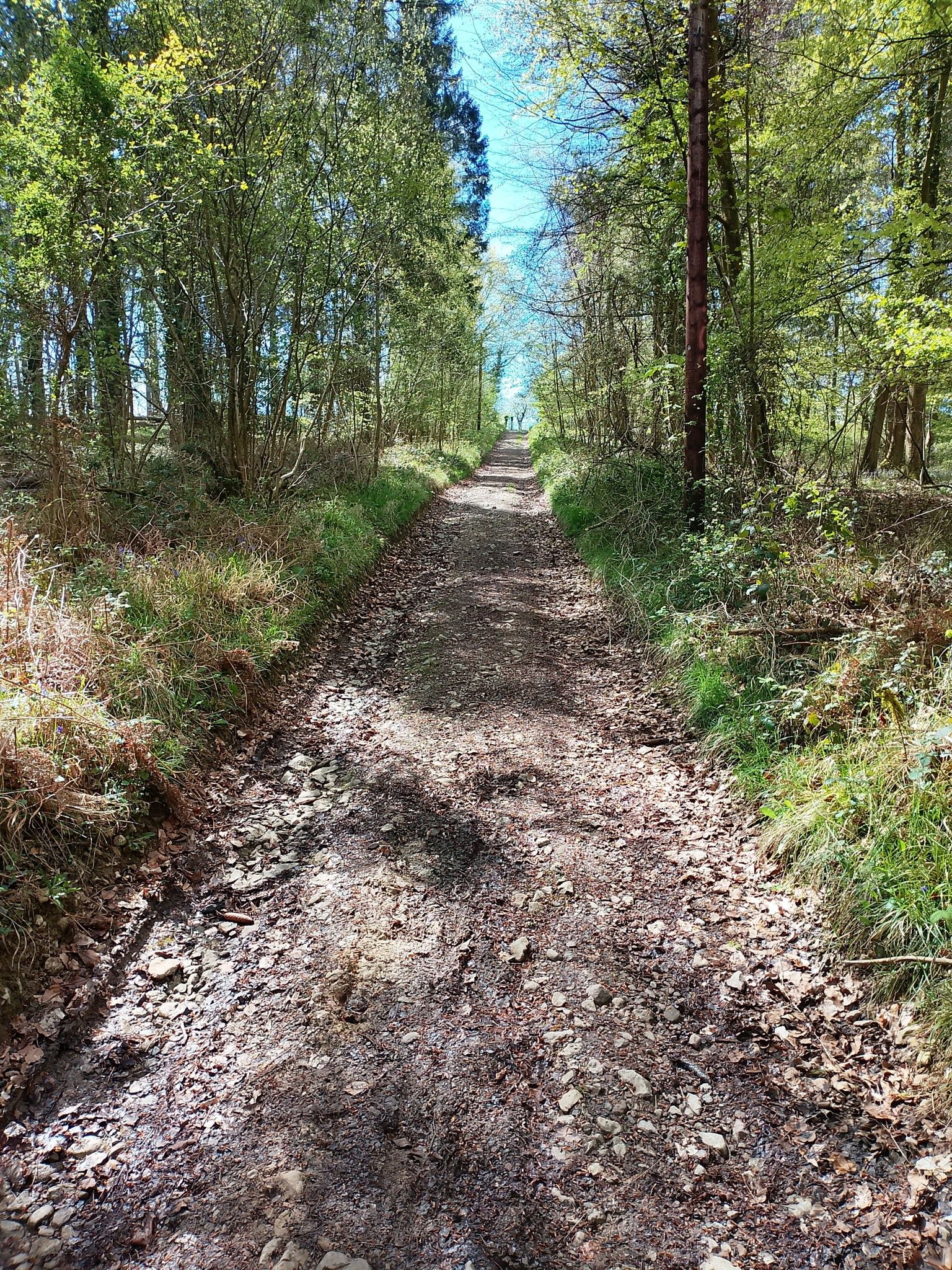 Lane to Joanshill Nature Reserve