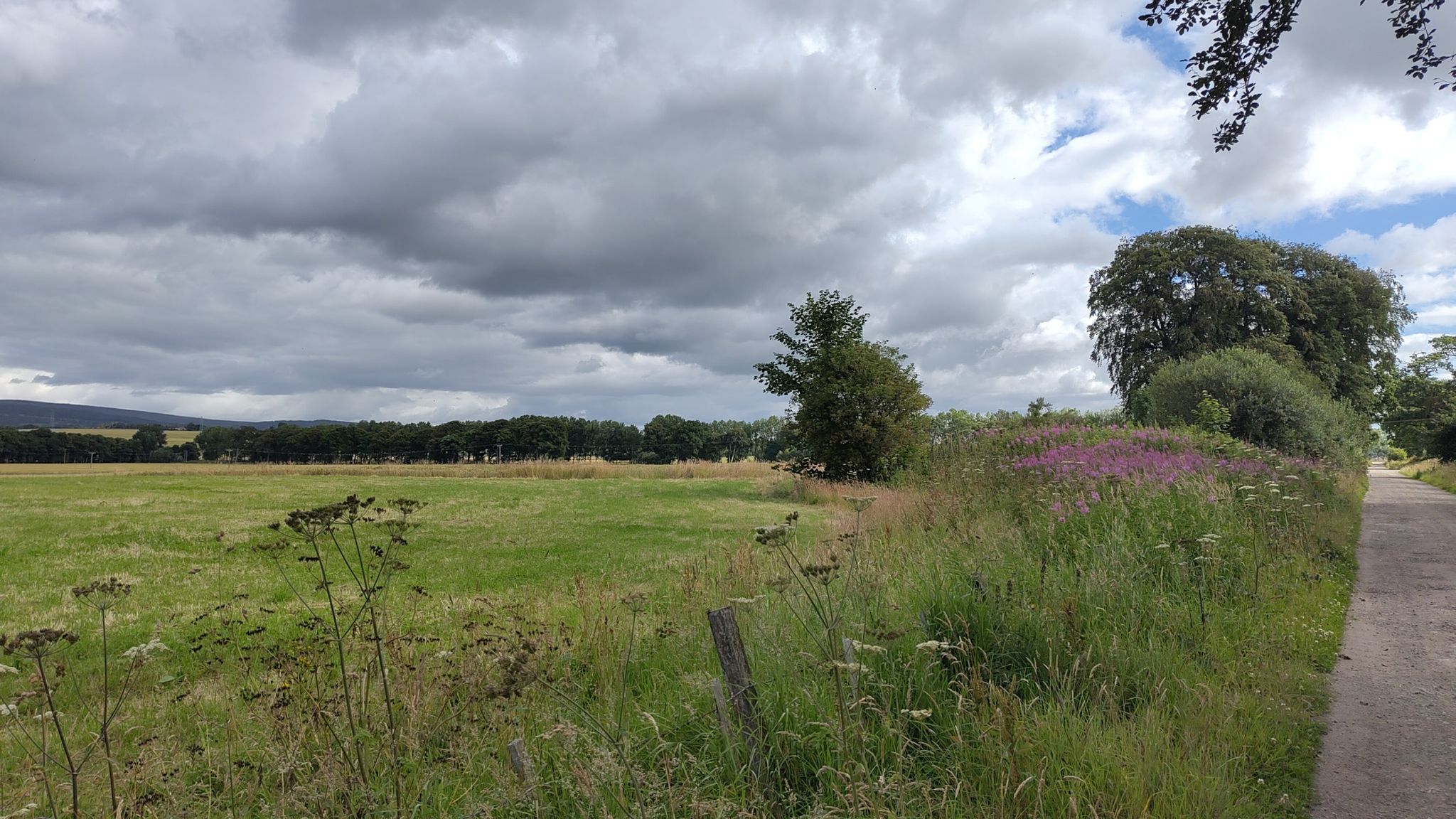 Countryside