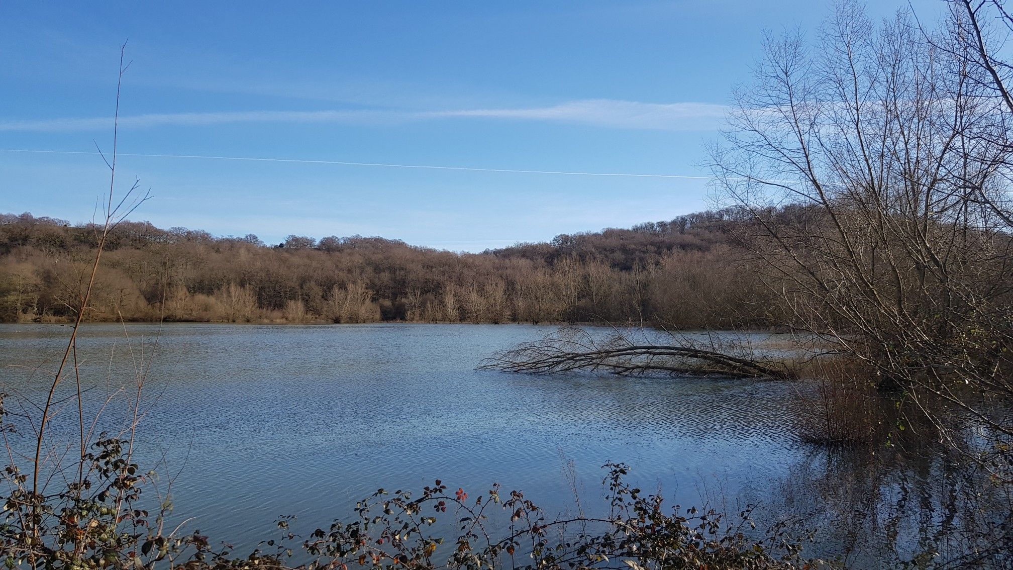 Lac de Corbères.