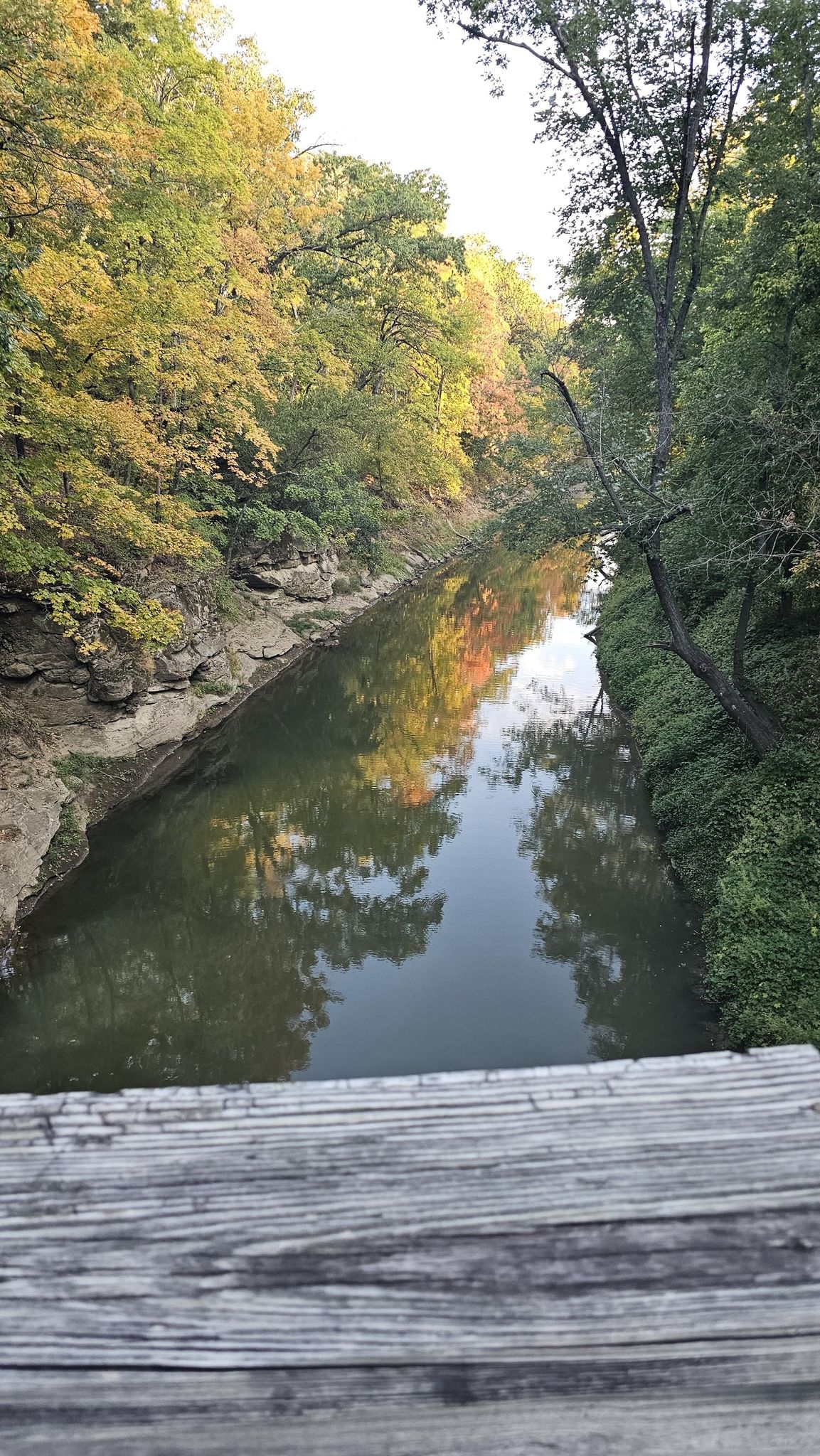 A narrow river reflects autumn trees under a bright sky, viewed from a bridge. - MKT Nature and Fitness Trail