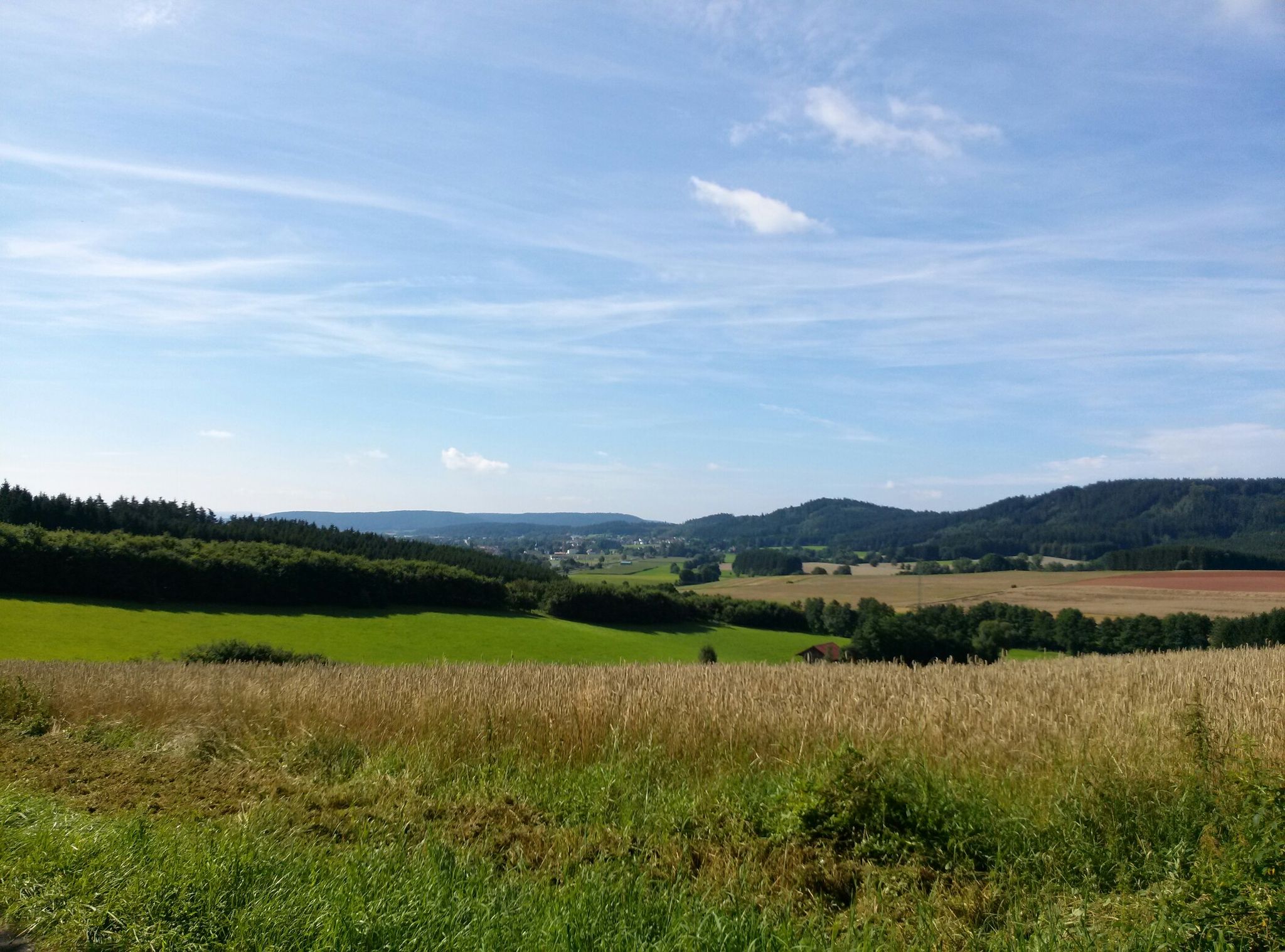 Ausblick
