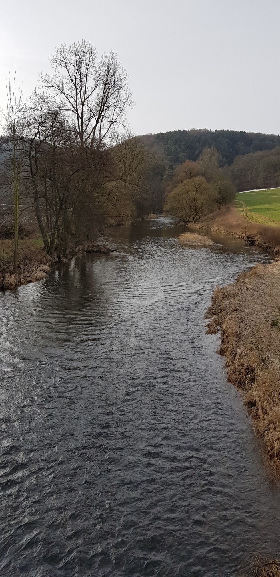 Nister bei Thal