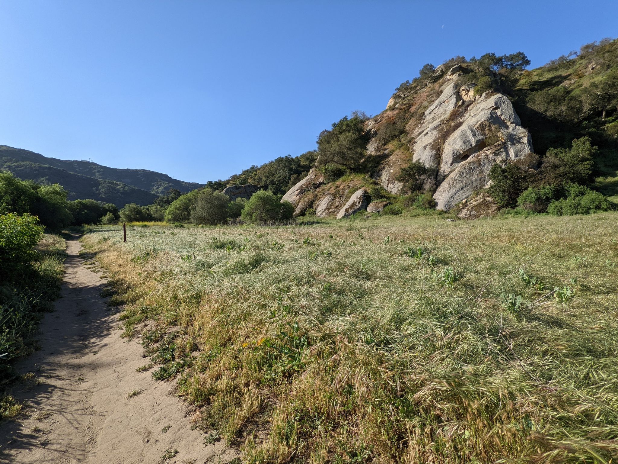 Dirt path next to a grassy field, large rocky hill under clear sky. - Laurel Canyon Trail – Crystal Cove State Park