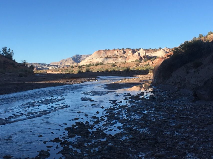 A shallow river flows through a canyon under a clear blue sky. - White House / Paria River Trail