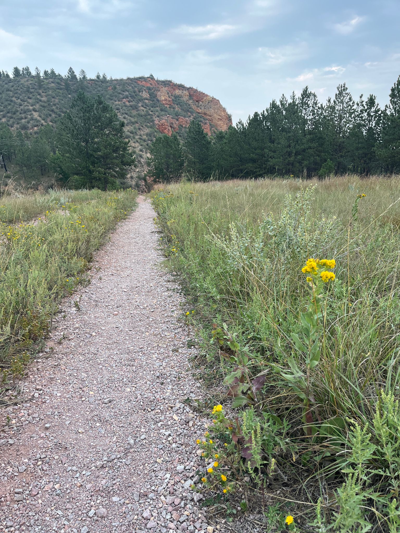 Gravel path through grassy field towards distant red rock under cloudy sky. - Wind Cave Canyon Trail