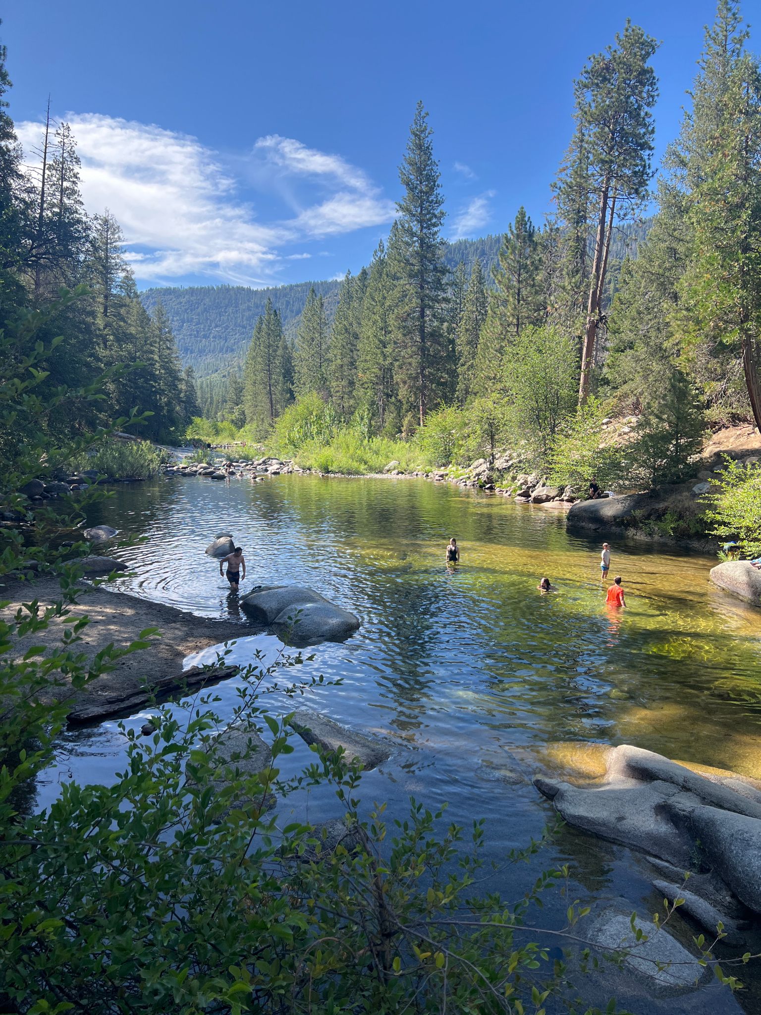 People swim and wade in a sunny, forested river with mountains. - Swinging Bridge Loop