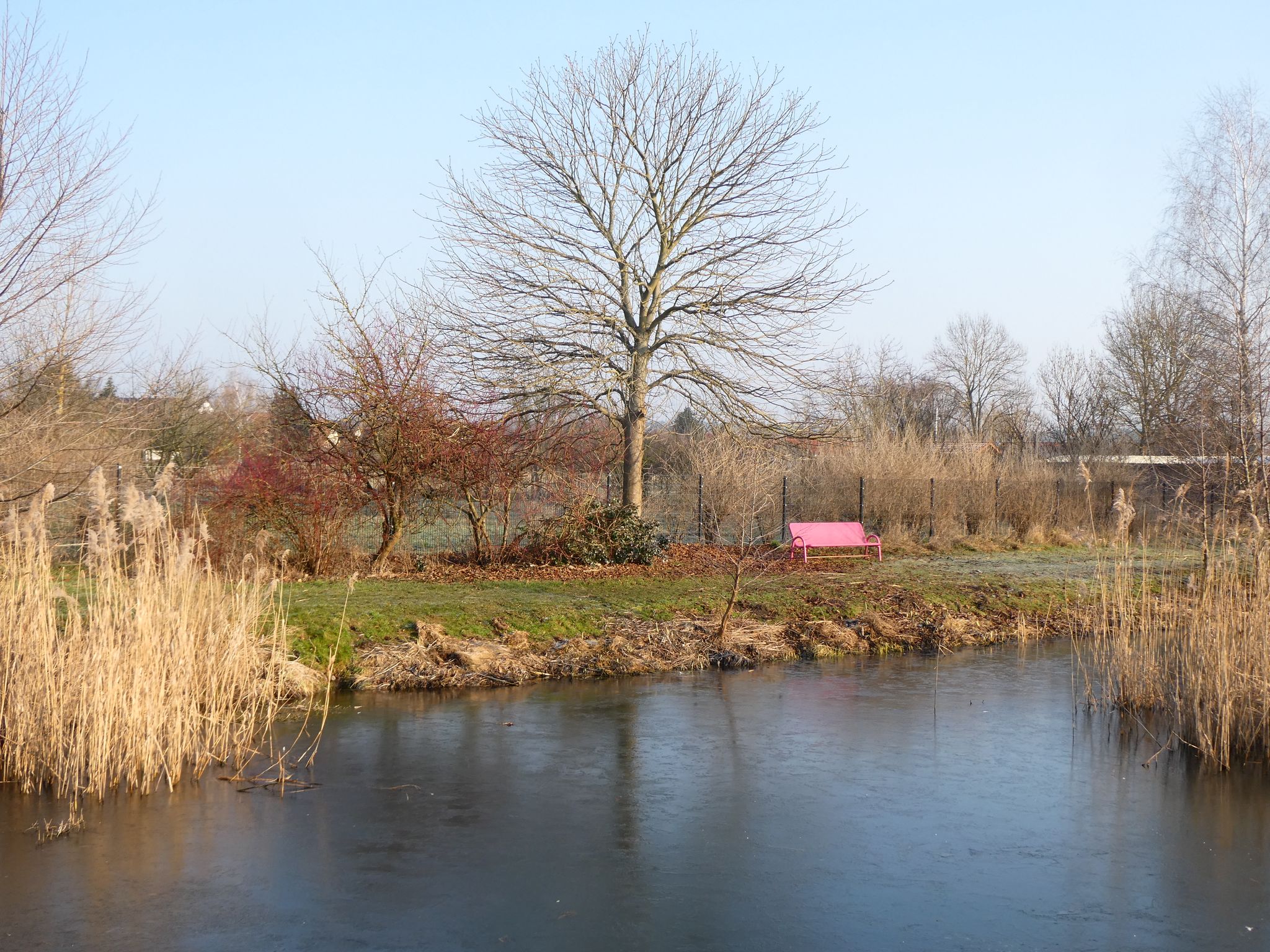 Dorfteich Pillgram