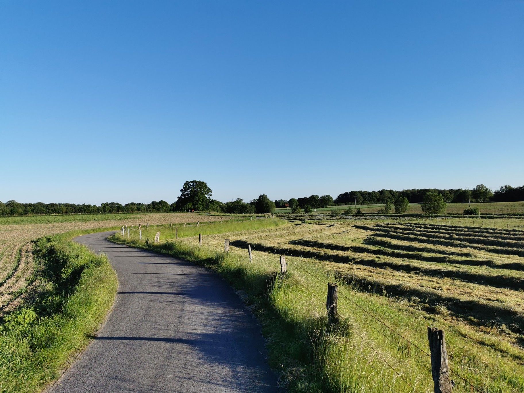 Werseradweg