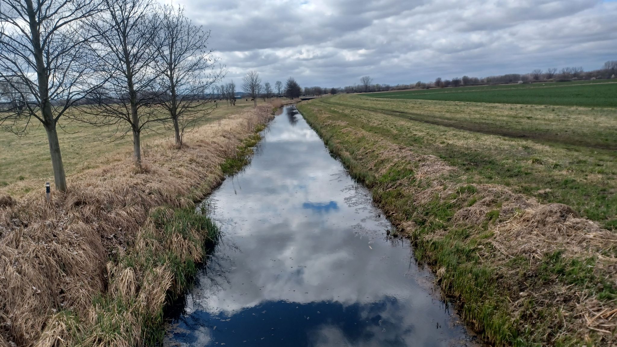 Zülowkanal