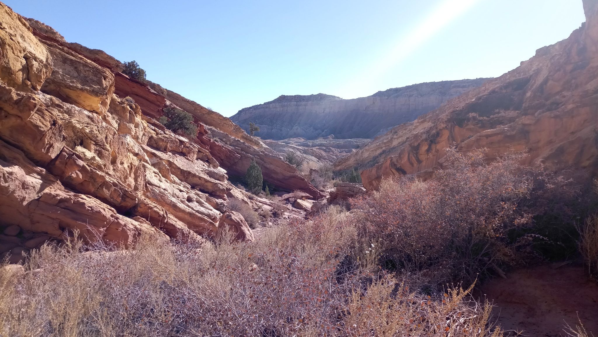 Sunny desert canyon with red rock walls, dry brush, and distant mountains. - Ding and Dang Canyons Loop