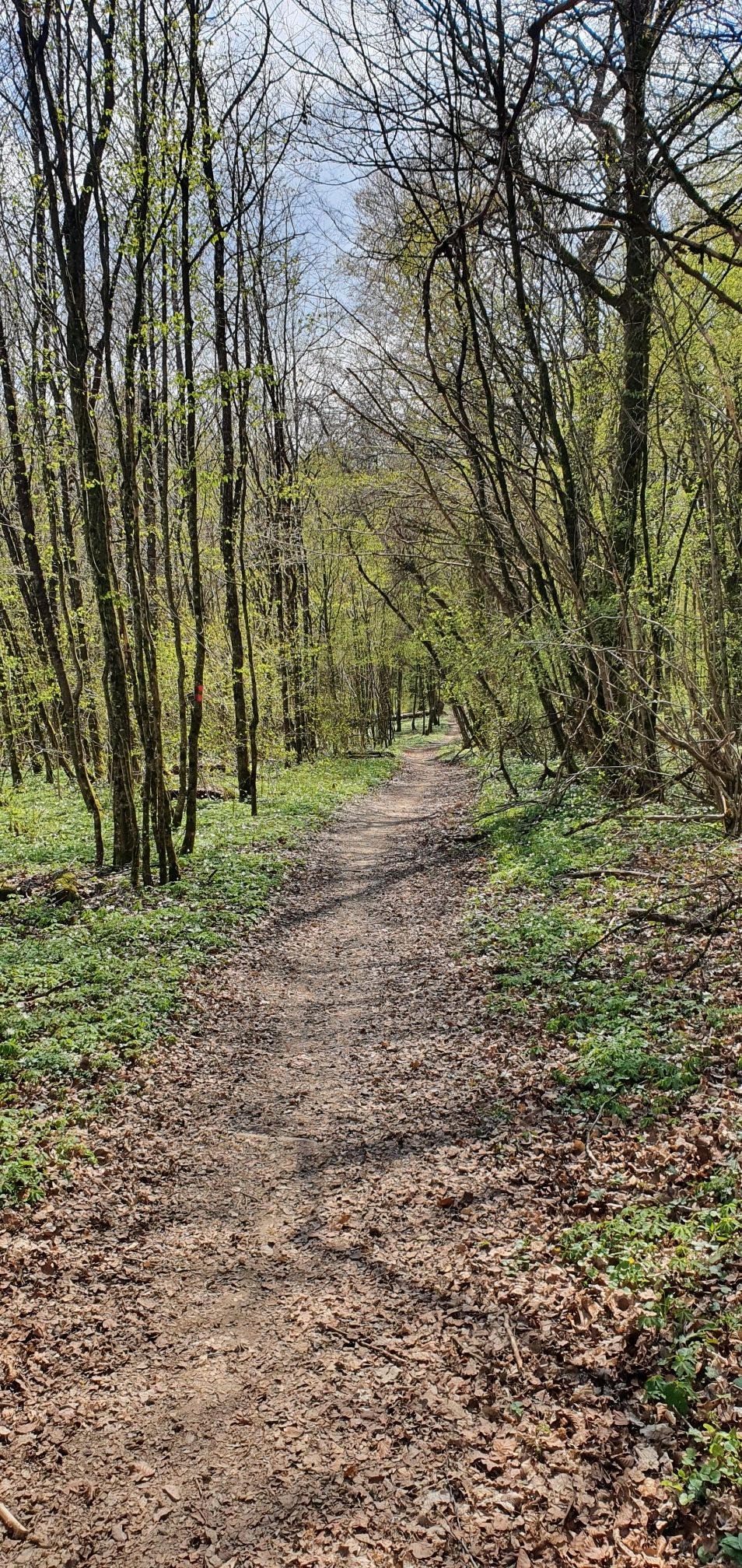 sentier des bornes