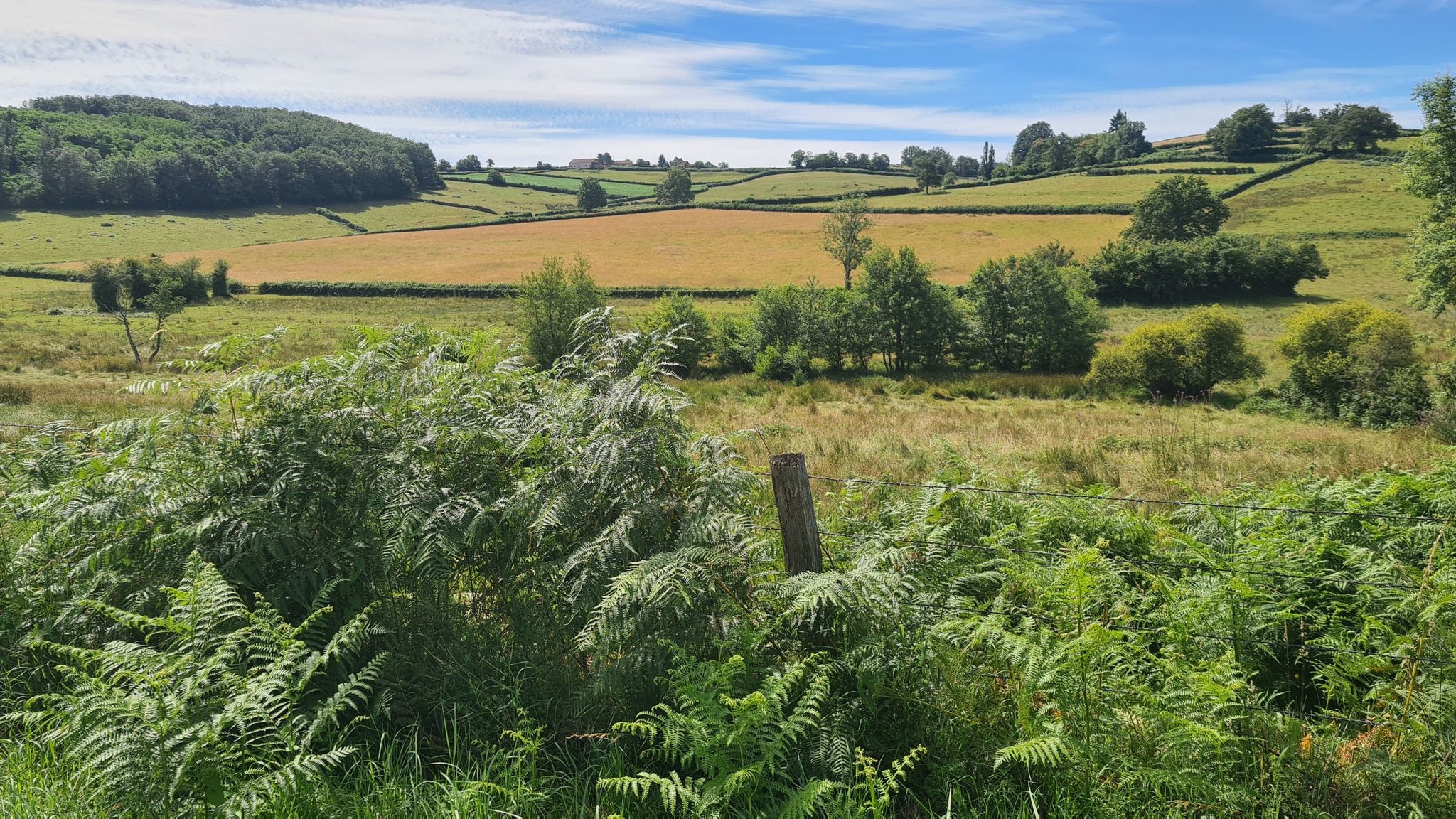 Und wieder durch urwüchsige Landschaft