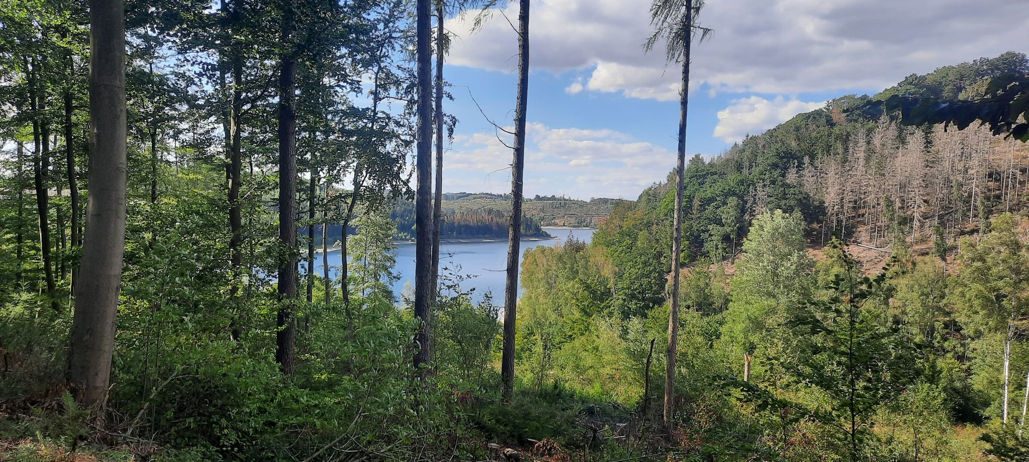 Stauseeblick