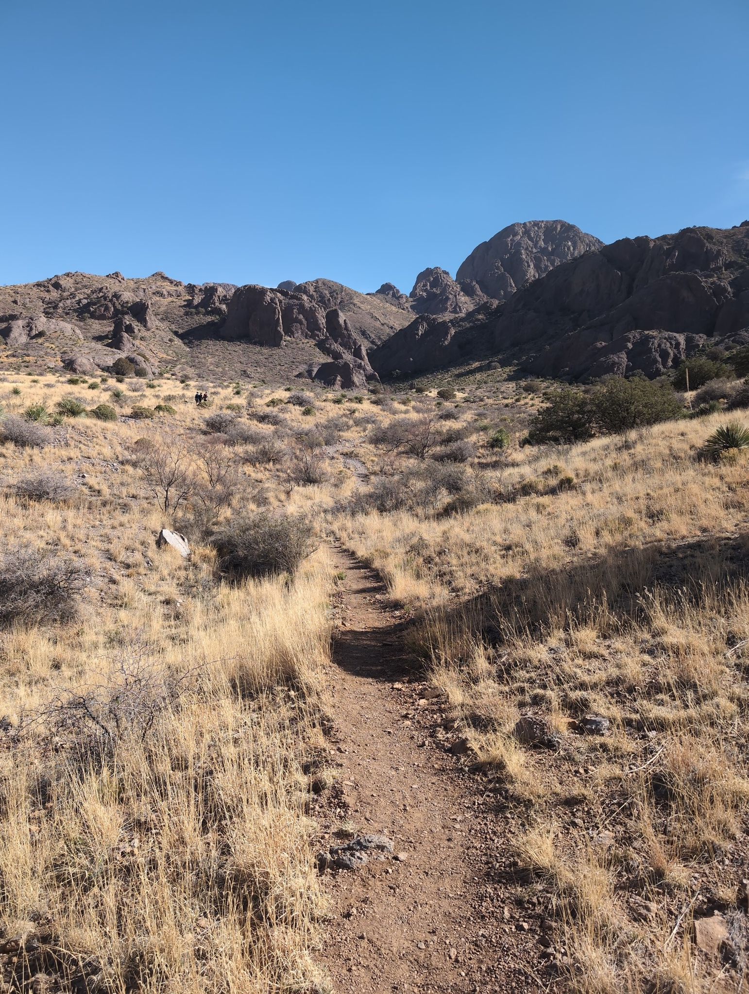 A narrow dirt trail winds through dry grass towards distant mountains. - Bar Canyon