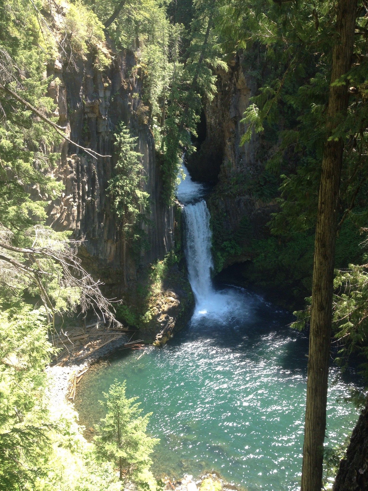 Bright waterfall plunges into a clear blue pool surrounded by green canyon walls. - Toketee Falls Trail