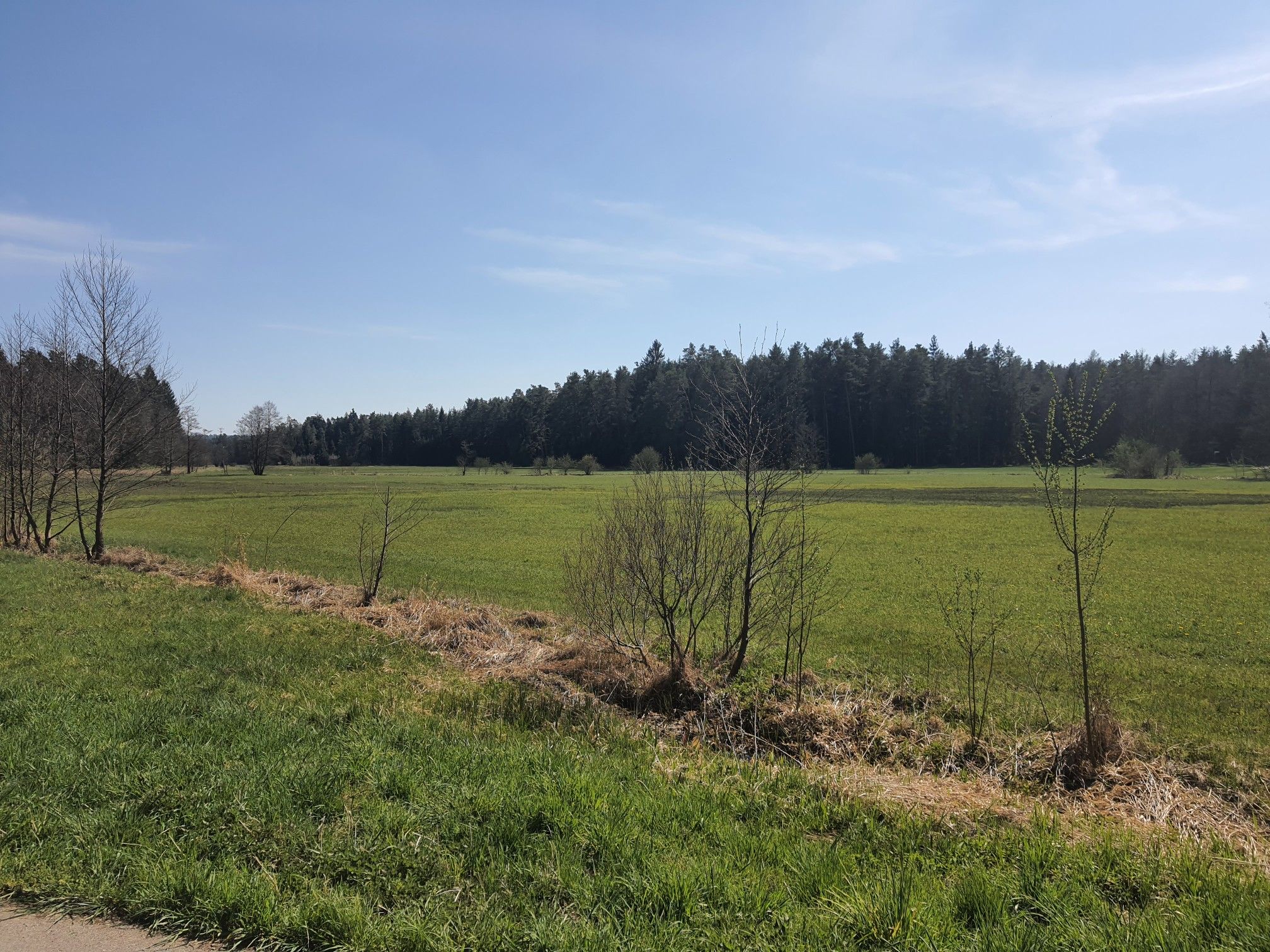 Blick von Rastbank ins Nesselbachtal