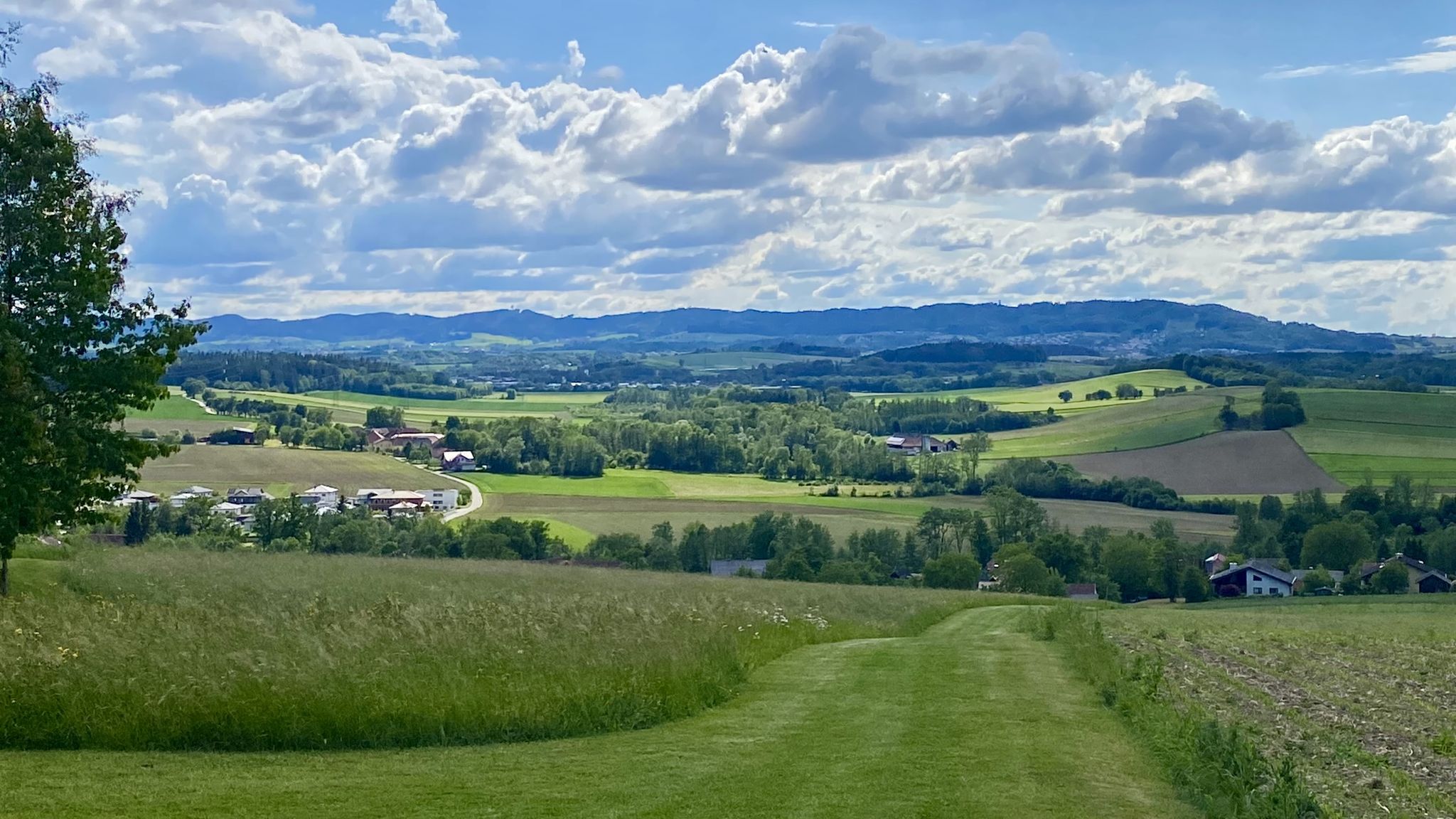 Ausblick zum Hausruck mit Haag am Nordrand