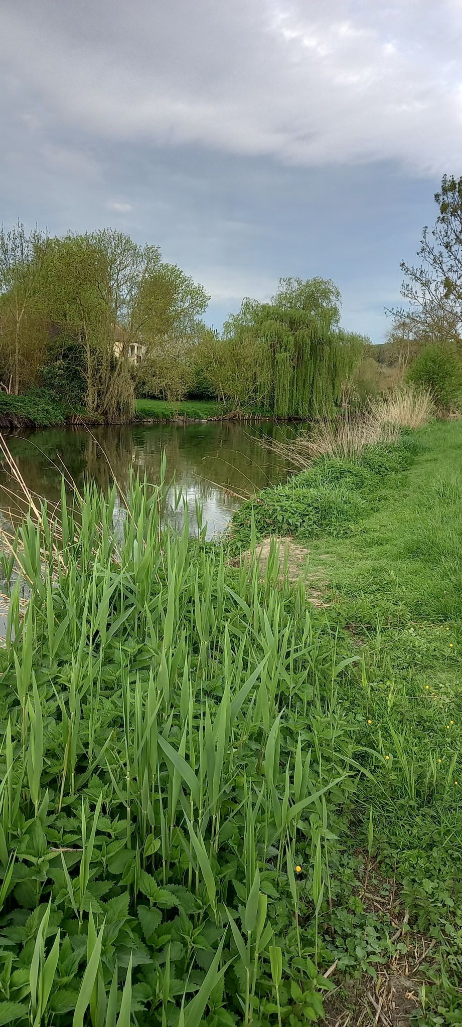 Au bord de l'Eure. Pacy-sur-Eure