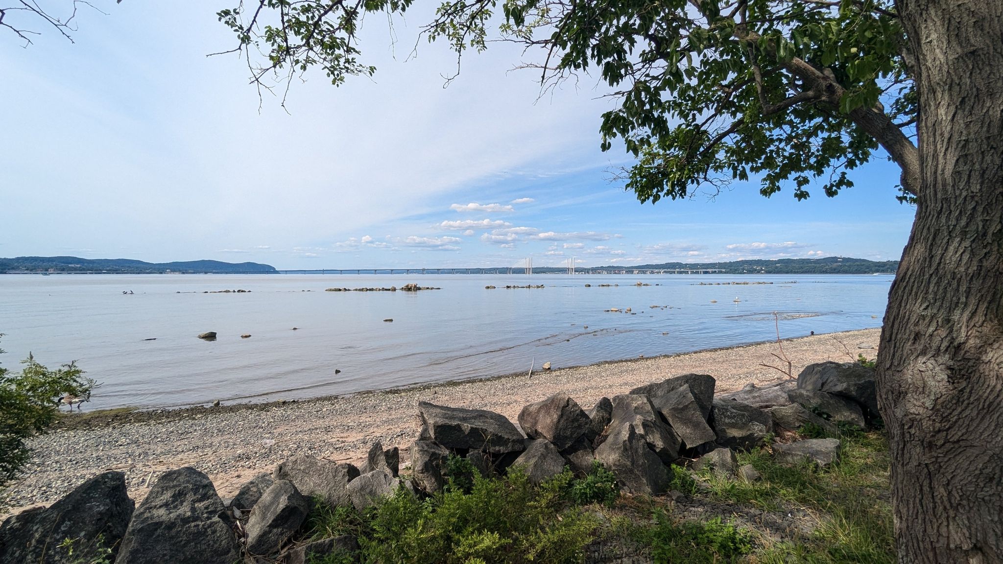 Sunny view of a rocky beach and calm water, framed by a large tree. - Piermont Pier