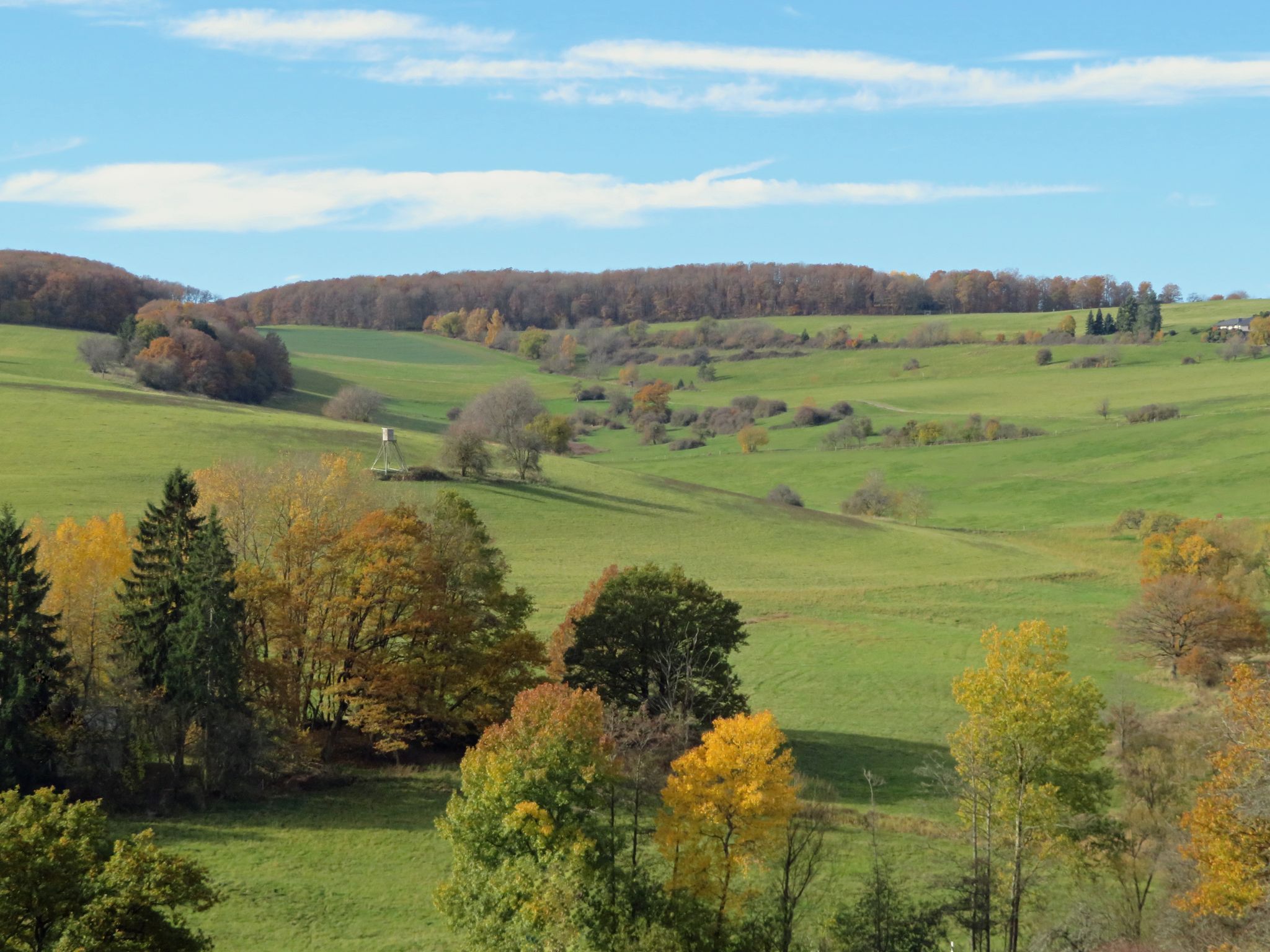 Eine typische Hunsrück-Landschaft zwischen Vollmersbach und Veitsrodt