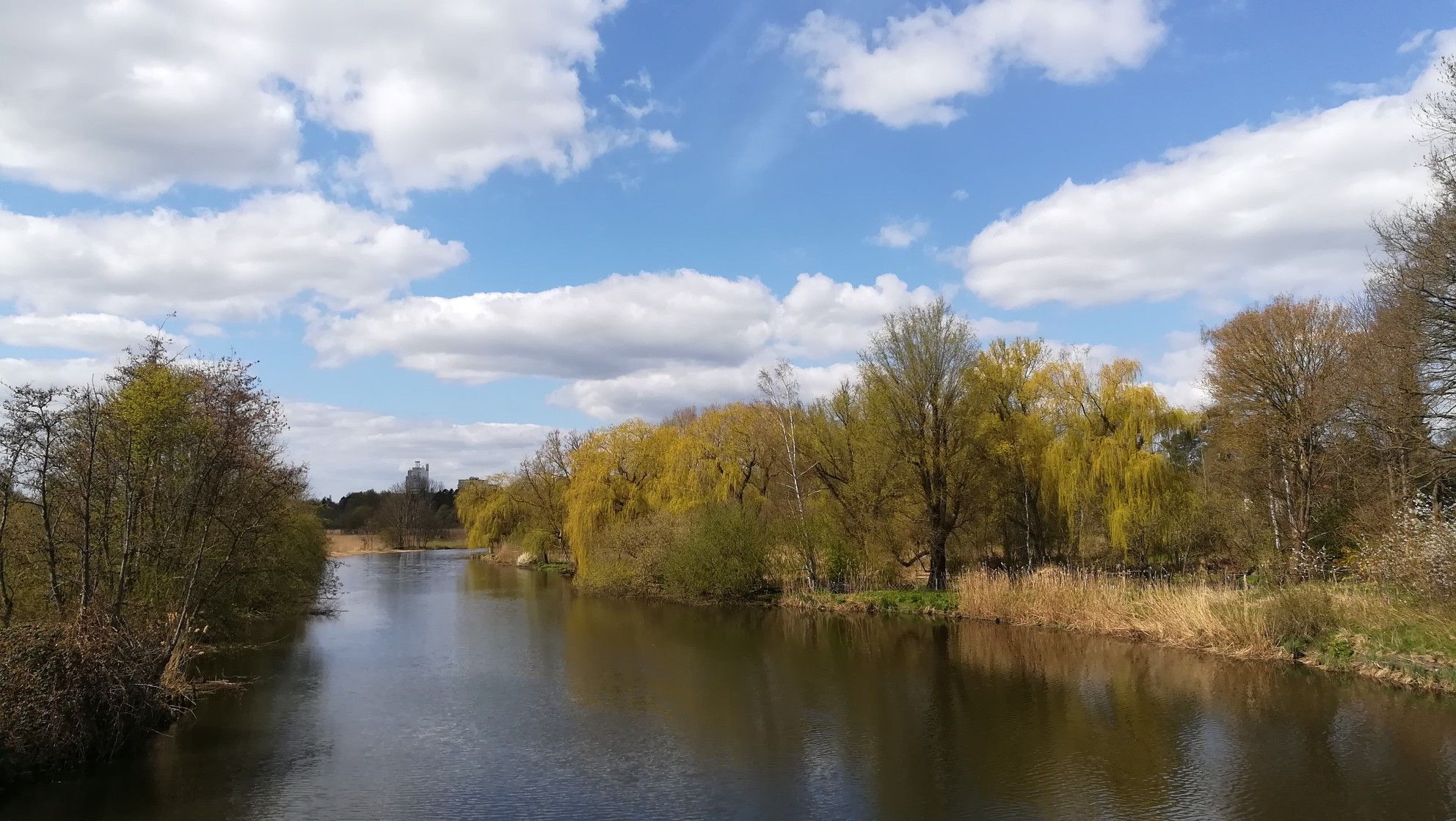 Die Trave