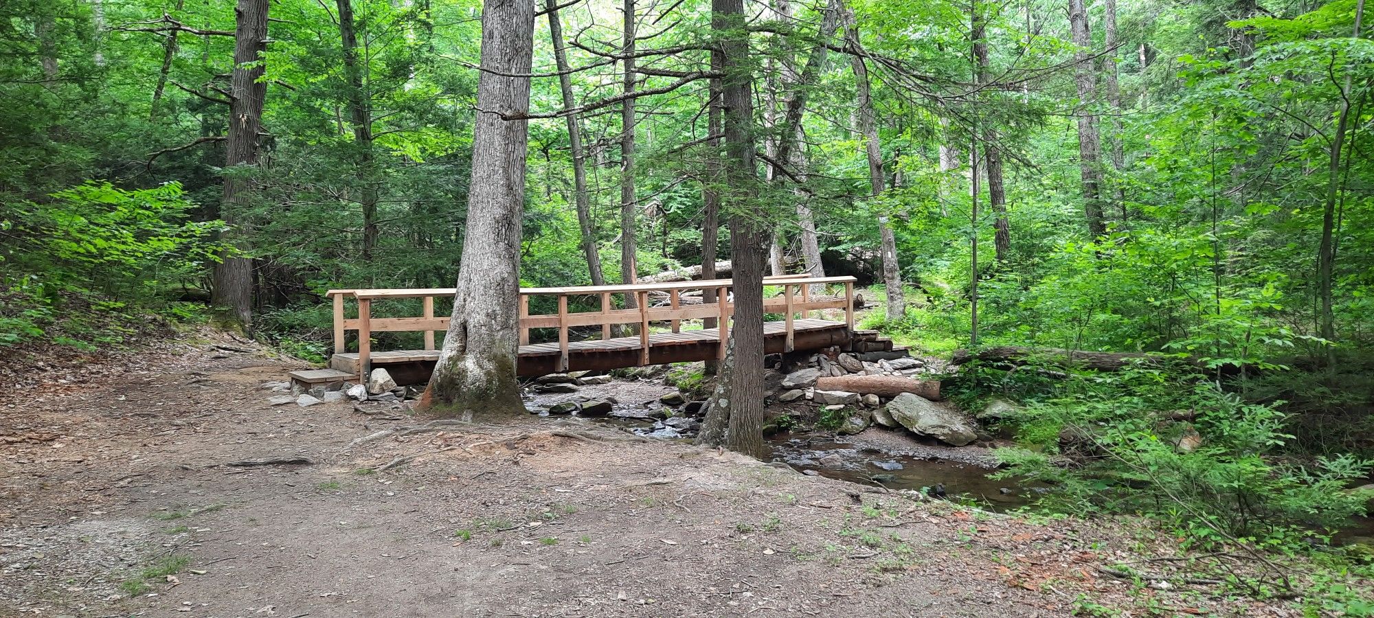 A new wooden bridge crosses a small stream in a verdant forest. - Sunset Rocks from Old Shippenburg Road