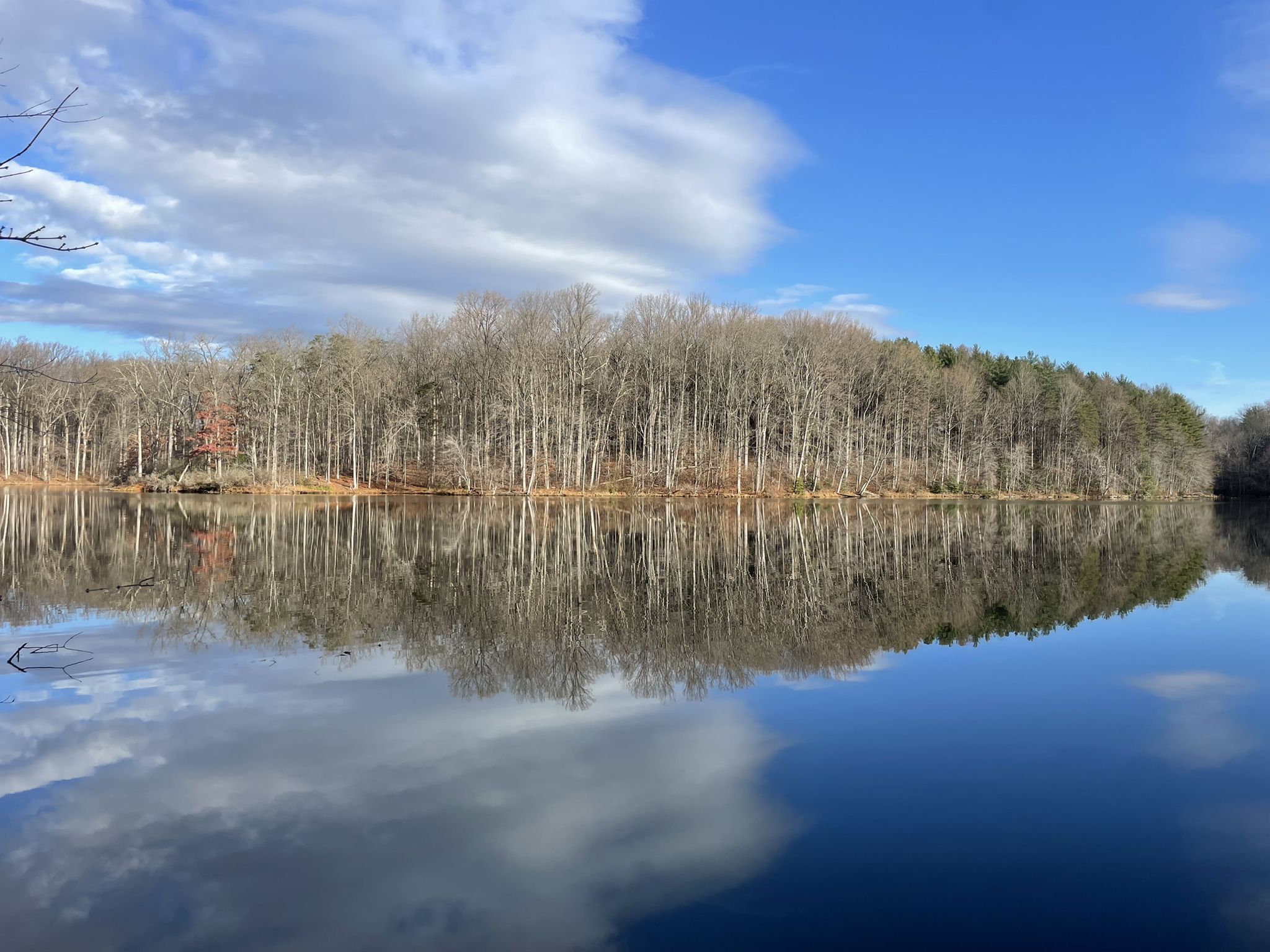Calm lake reflecting bare trees and cloudy blue sky on a bright day. - Seneca Creek Greenway to Clopper Lake Loop