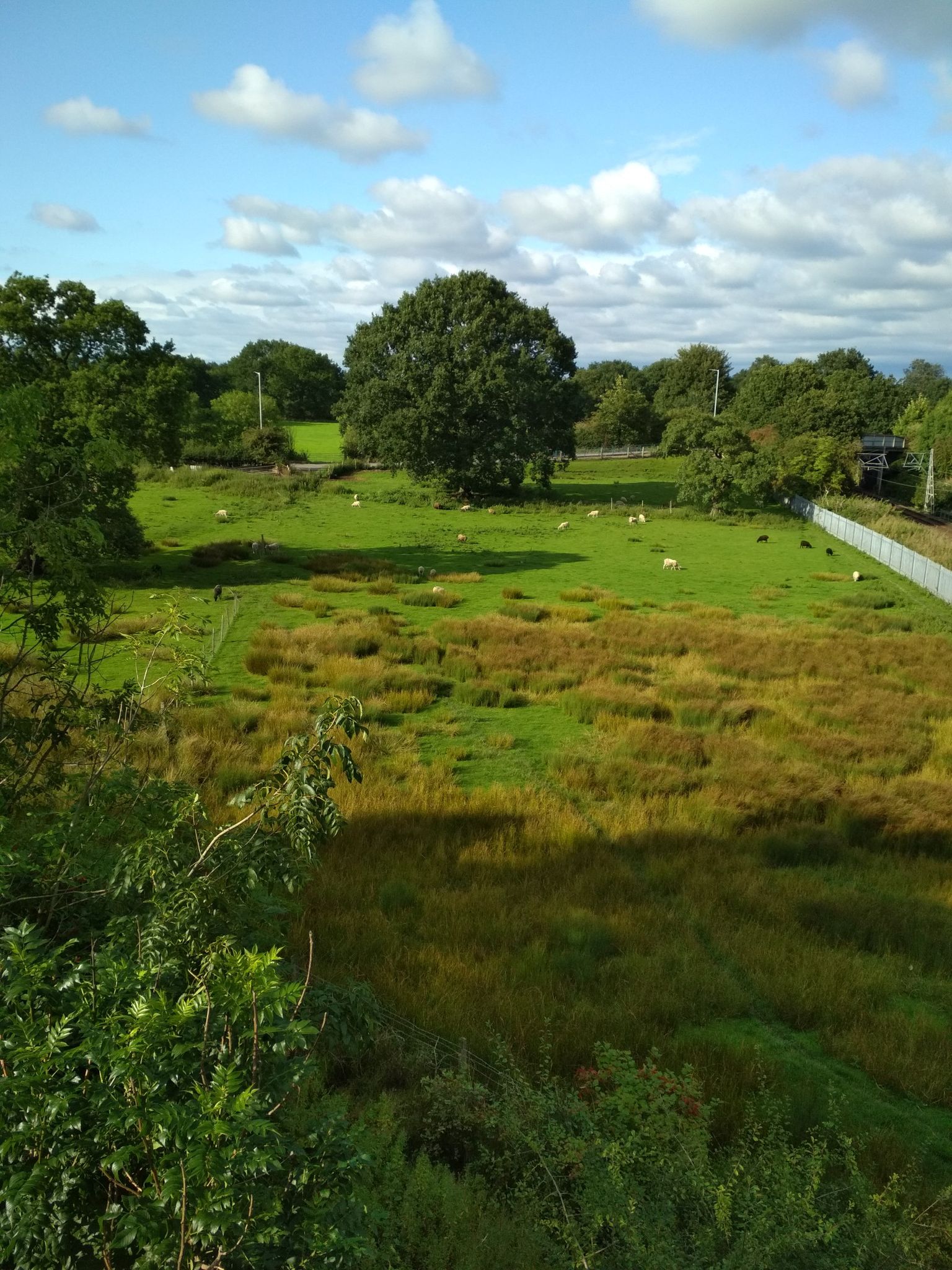 farm from link road bridge