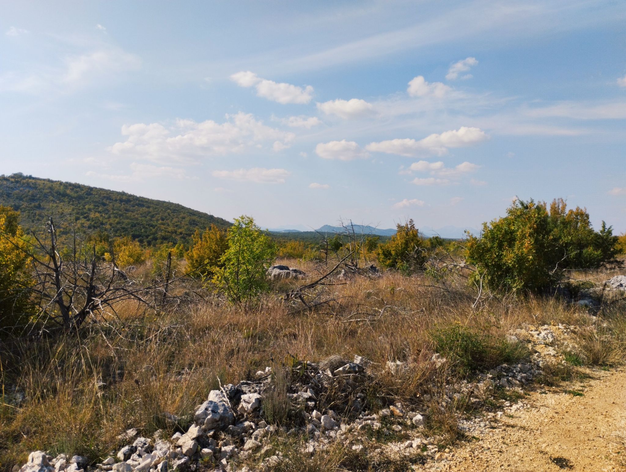 Herzegowina Outback