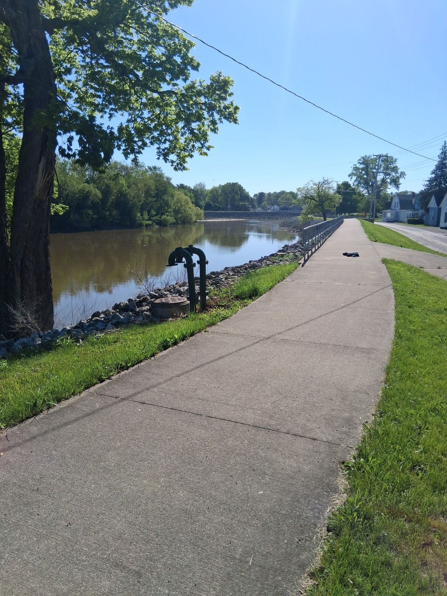 Paved path alongside a calm river with green trees on a sunny day. - Swinney Park – St. Mary's River loop from Lot 9001