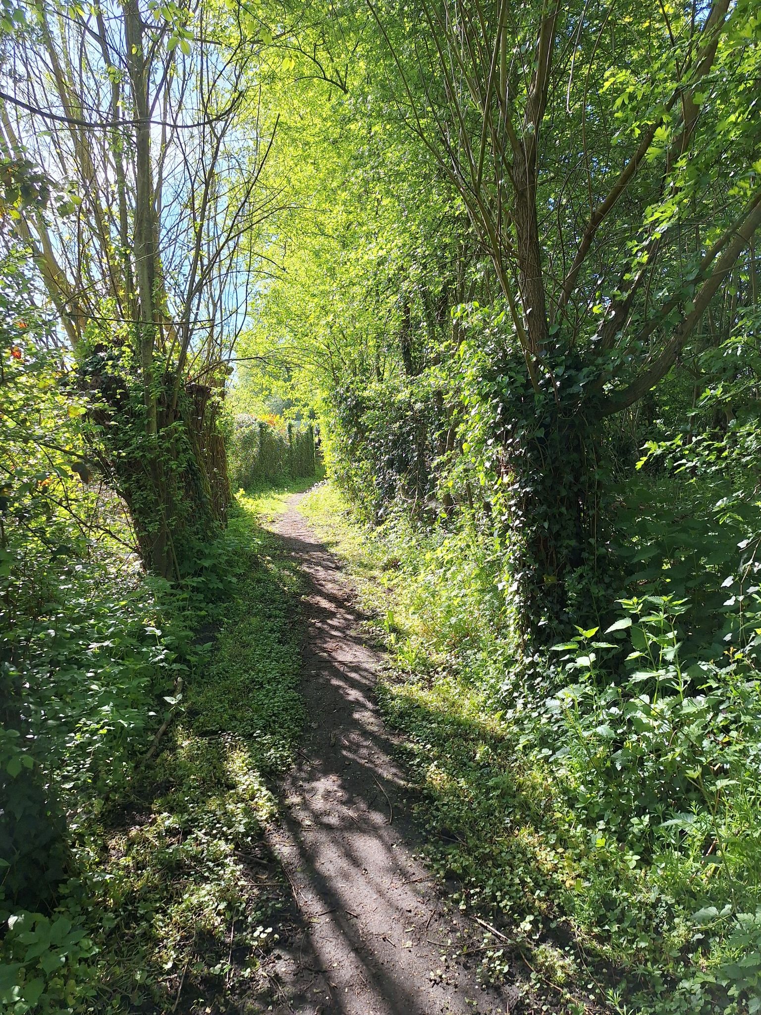 wandelpad in Boussies