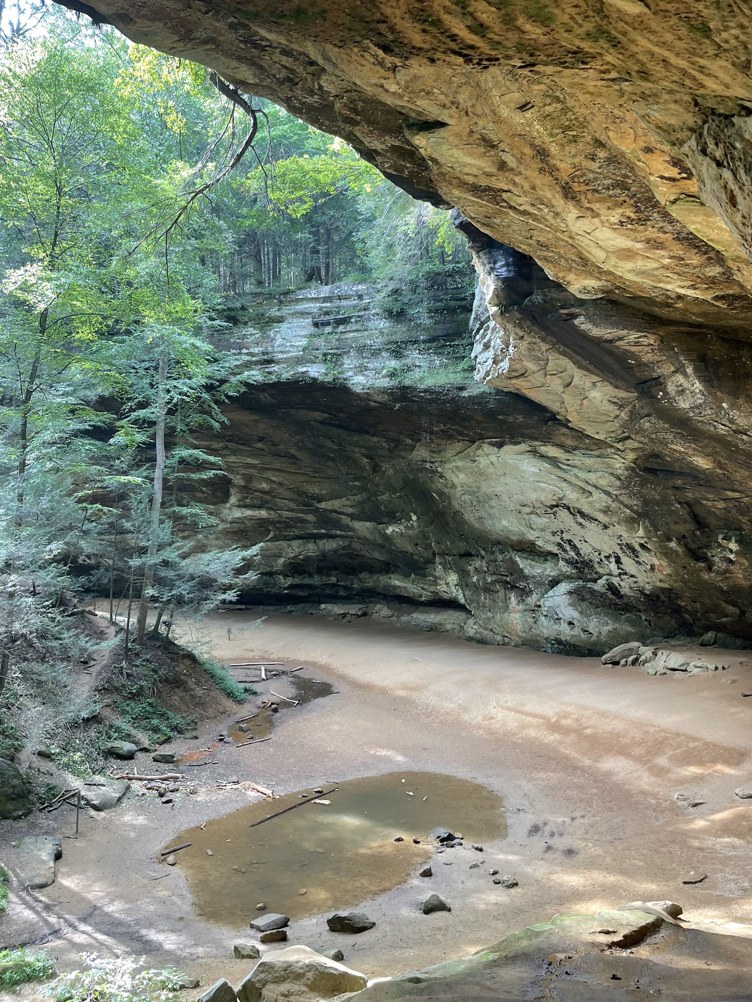 Expansive rock shelter with a sandy floor and small water puddle. - Ash Cave loop from Ash Cave Fire Tower