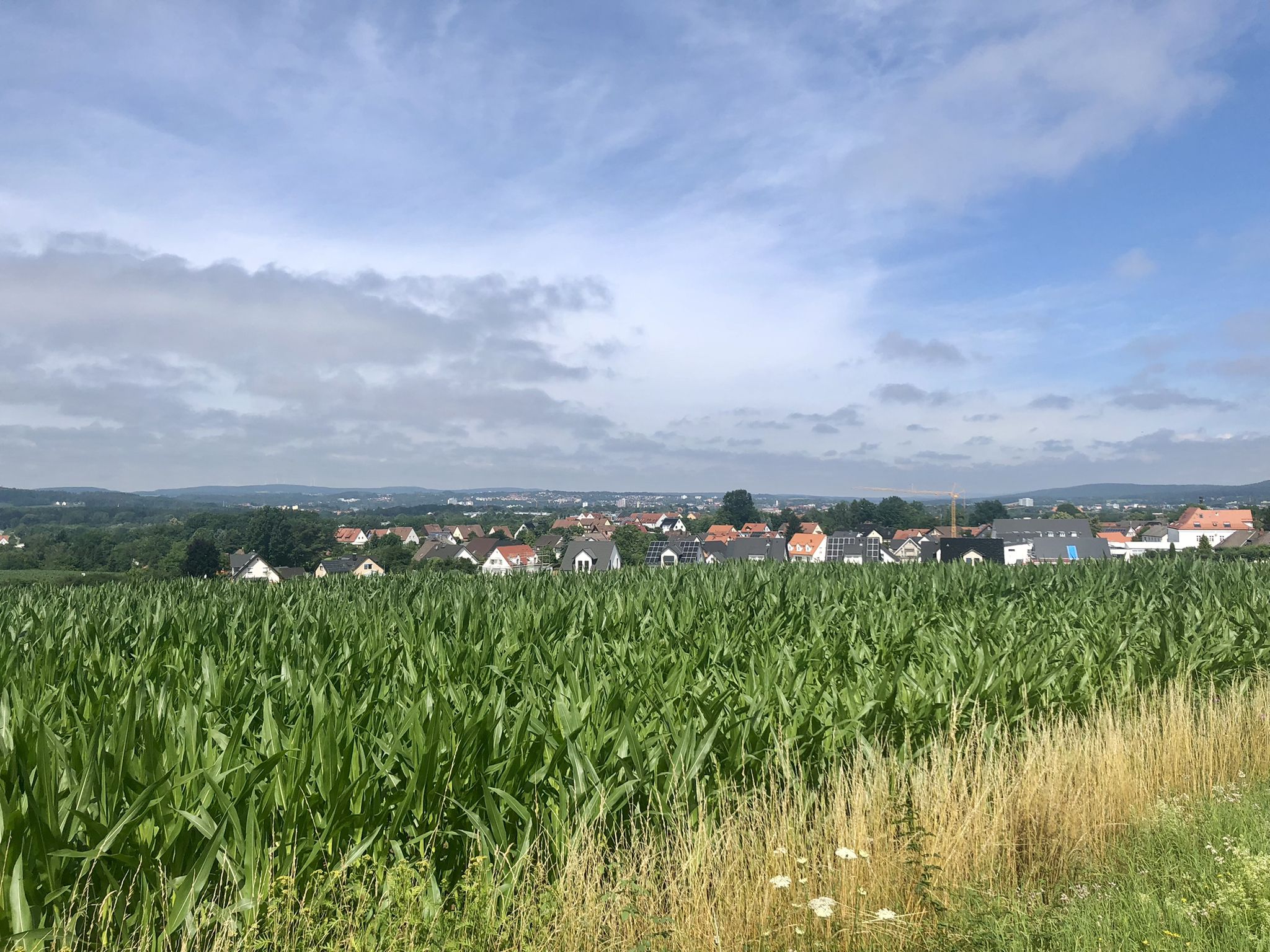 Blick auf ‚Bareid‘
