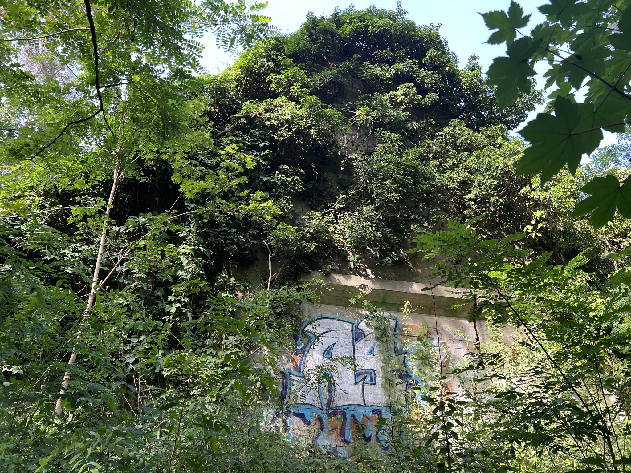 Bunker Koralle