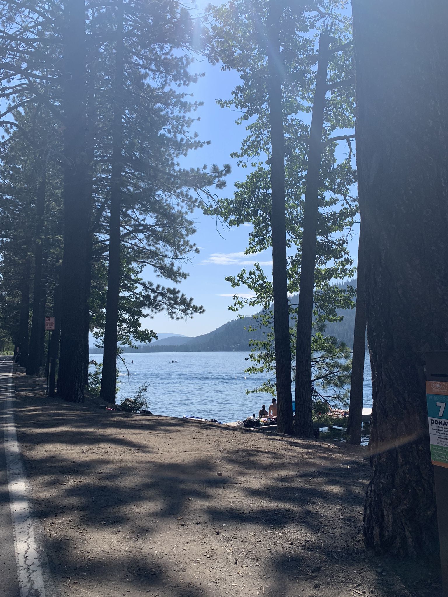 People relaxing by a lake shore, framed by tall pine trees on a sunny day. - Donner Lake Beach – Donner Lake loop from Black Wall