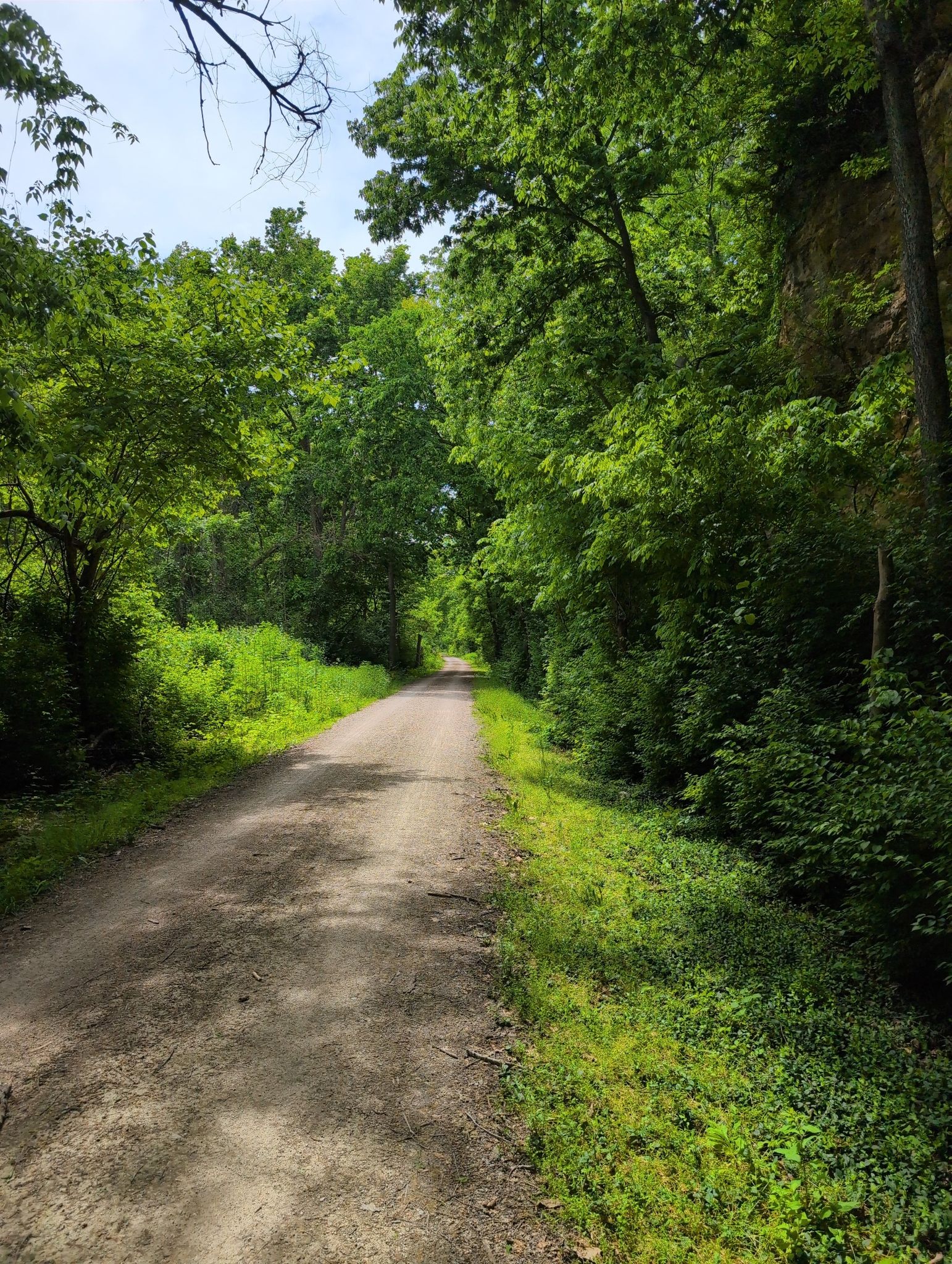 A sunlit dirt path winds through a dense green forest with a rocky cliff. - Katy Trail and Weldon Spring Loop