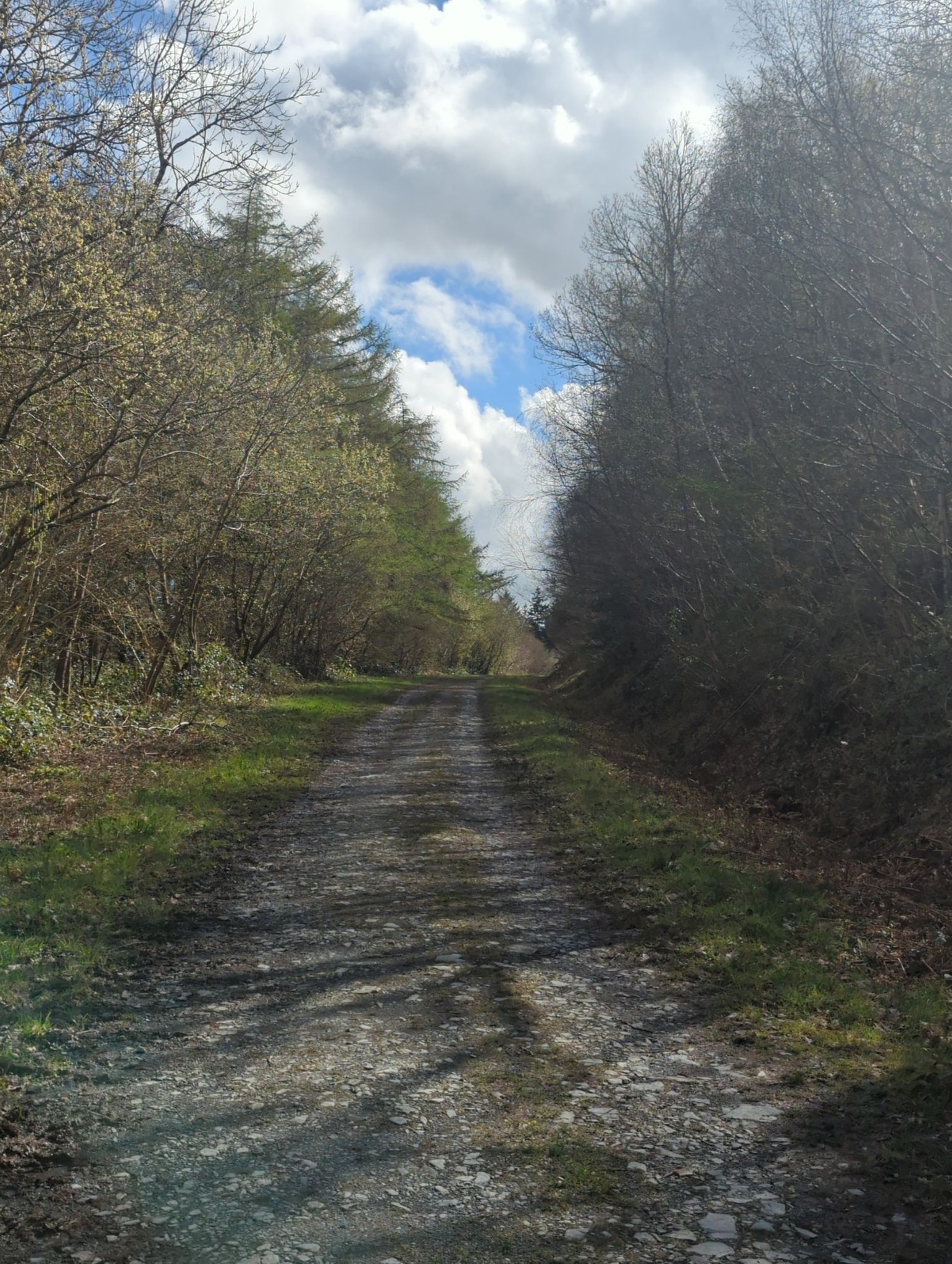 Into sun-dappled Ally-y-Grib