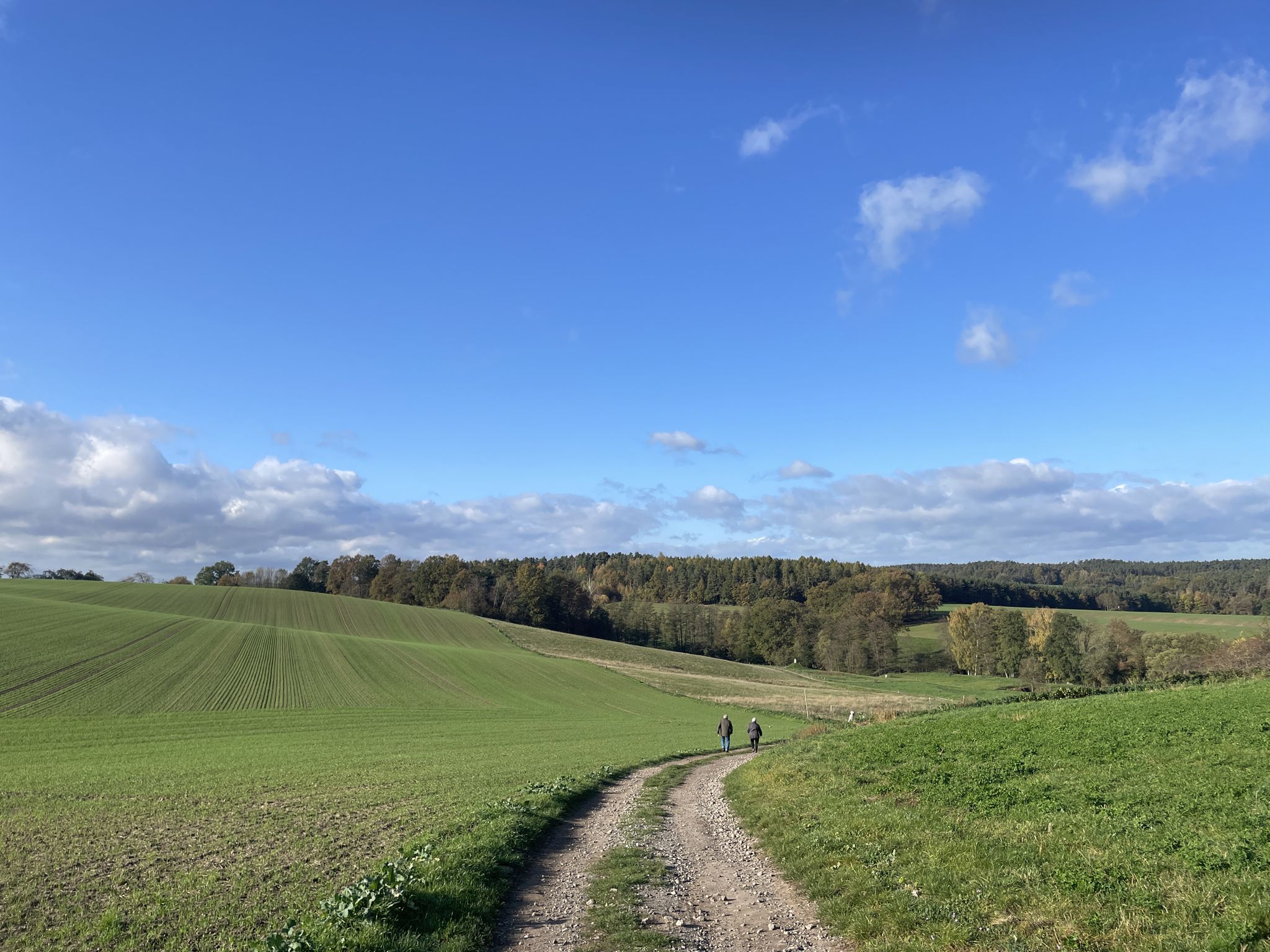Rückblick Teufelsberg- schwarzes Schaf was Kinder anfällt