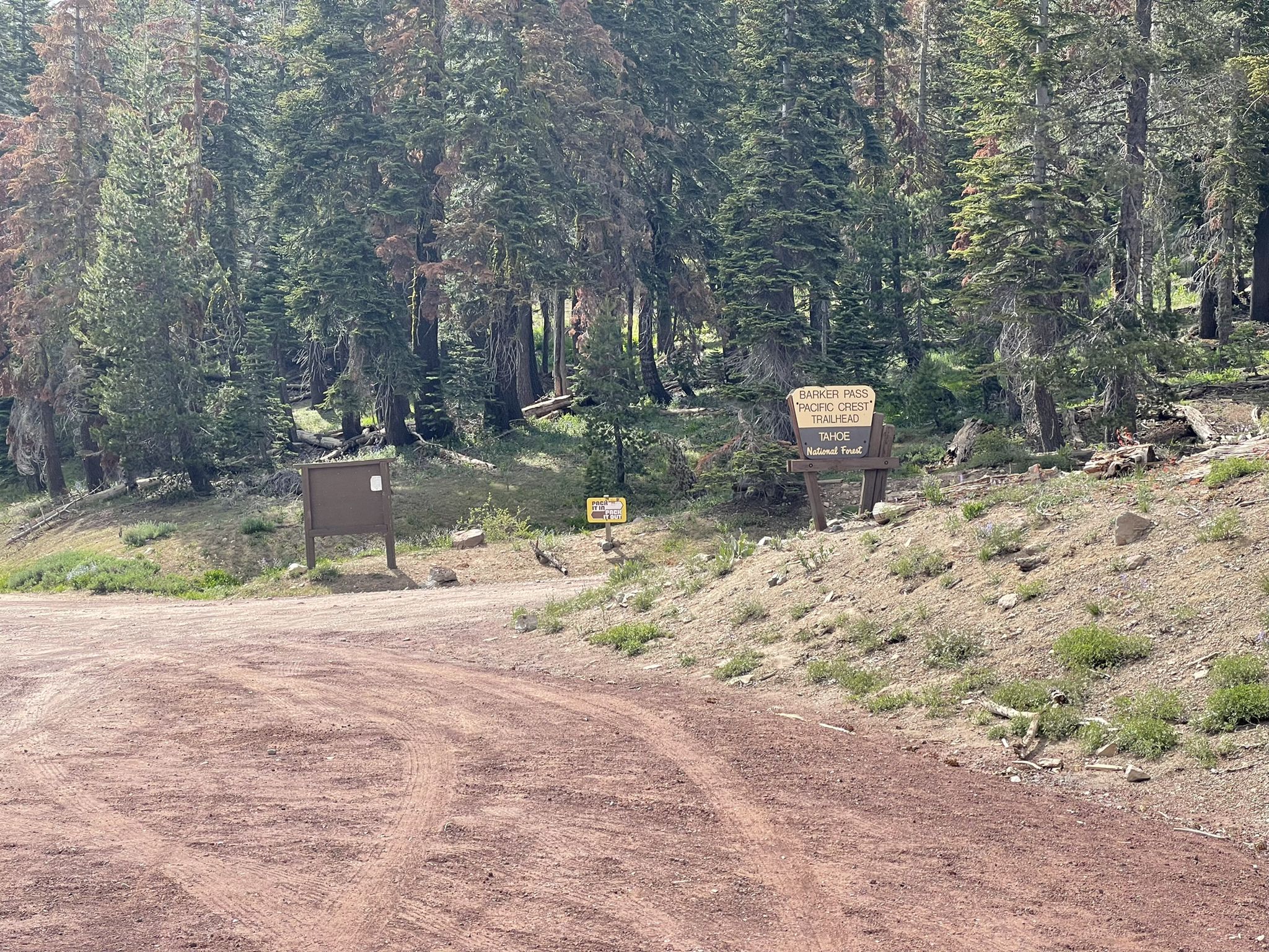 Dirt road leading into a forest with trail signs on a sunny day. - Kaspian Campground to Barker Pass via Barker Pass Road