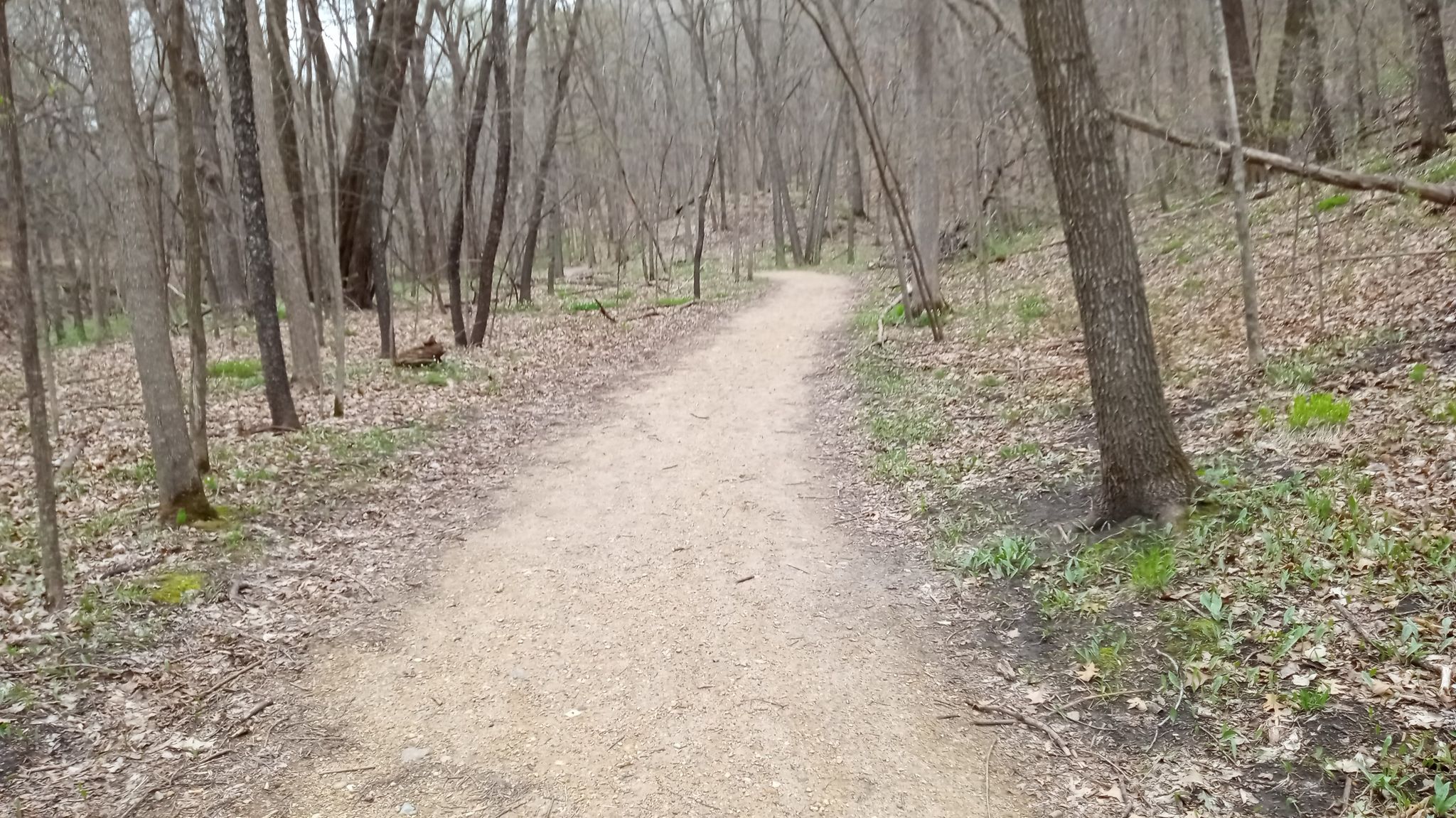 Nice crushed rock trails