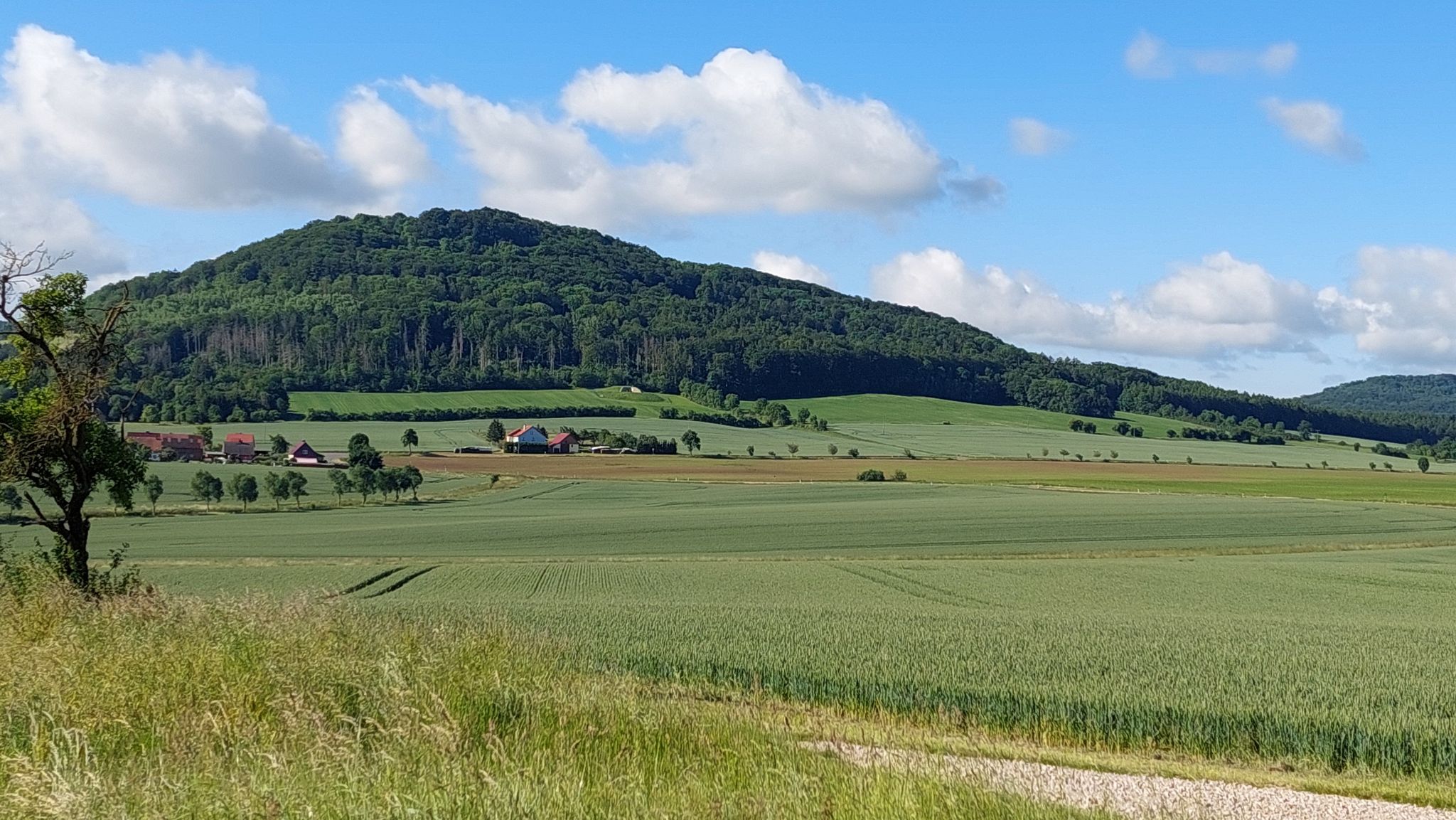 Unser Ziel Hasenburg