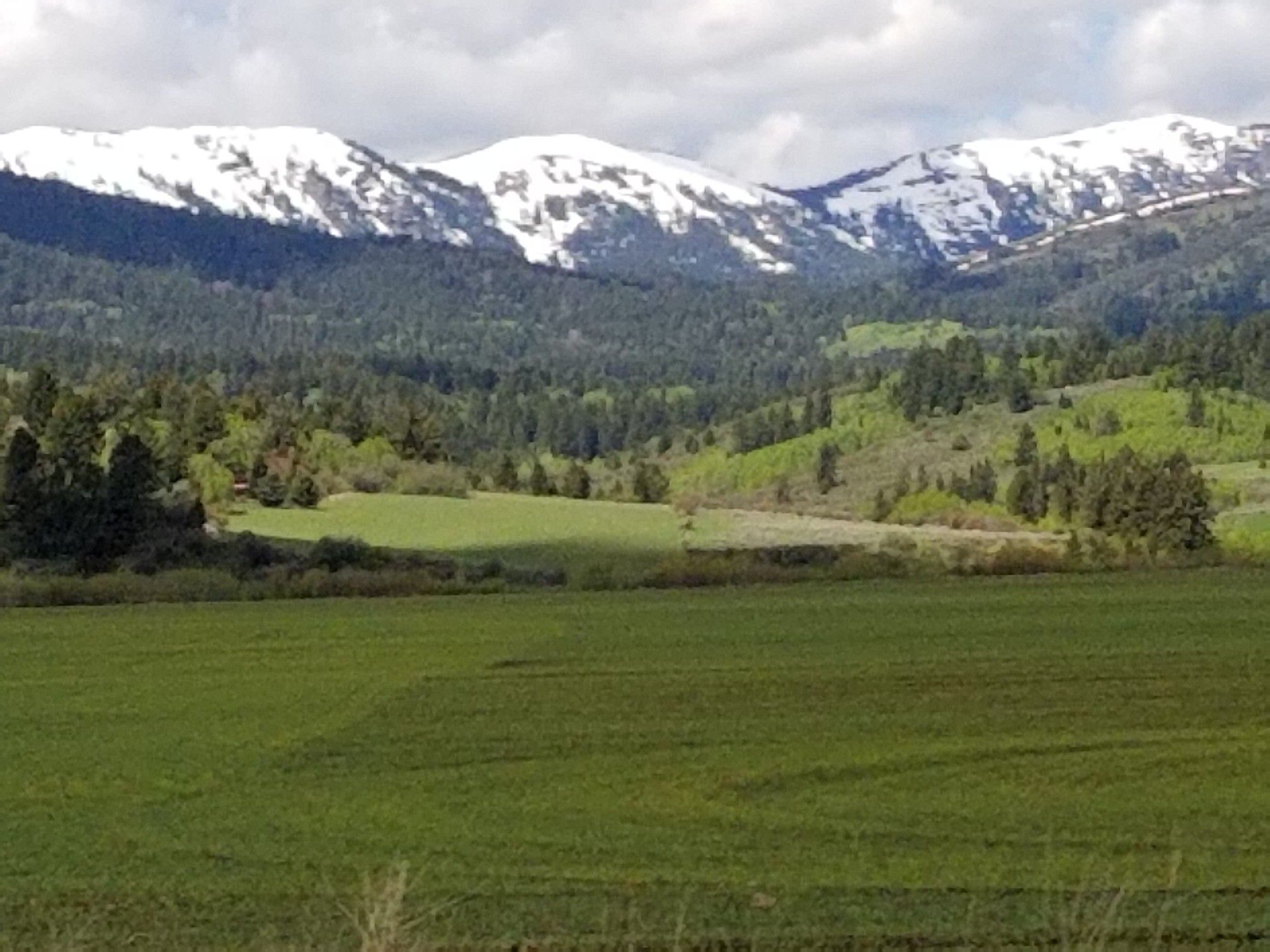 Vast green fields lead to forested hills and snow-capped mountains. - Cedron-Bates Teton Valley Loop
