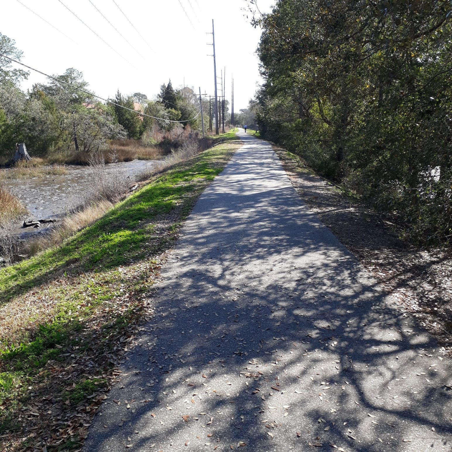 Sunny paved path with tree shadows, bordered by marsh and green trees. - Colonial Lake loop from West Ashley High School