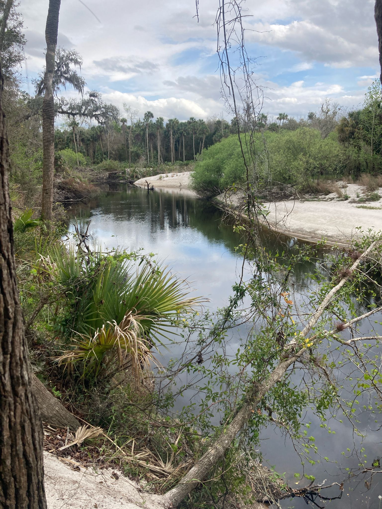 A winding river with sandy banks, green trees, and a cloudy sky. - Kolokee Loop Trail