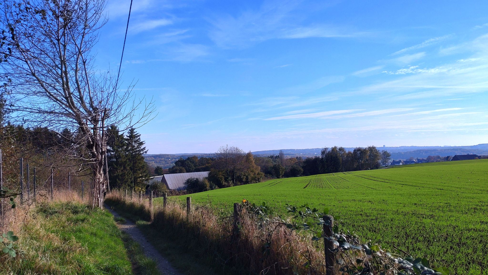 Wanderweg mit schöner Aussicht.
